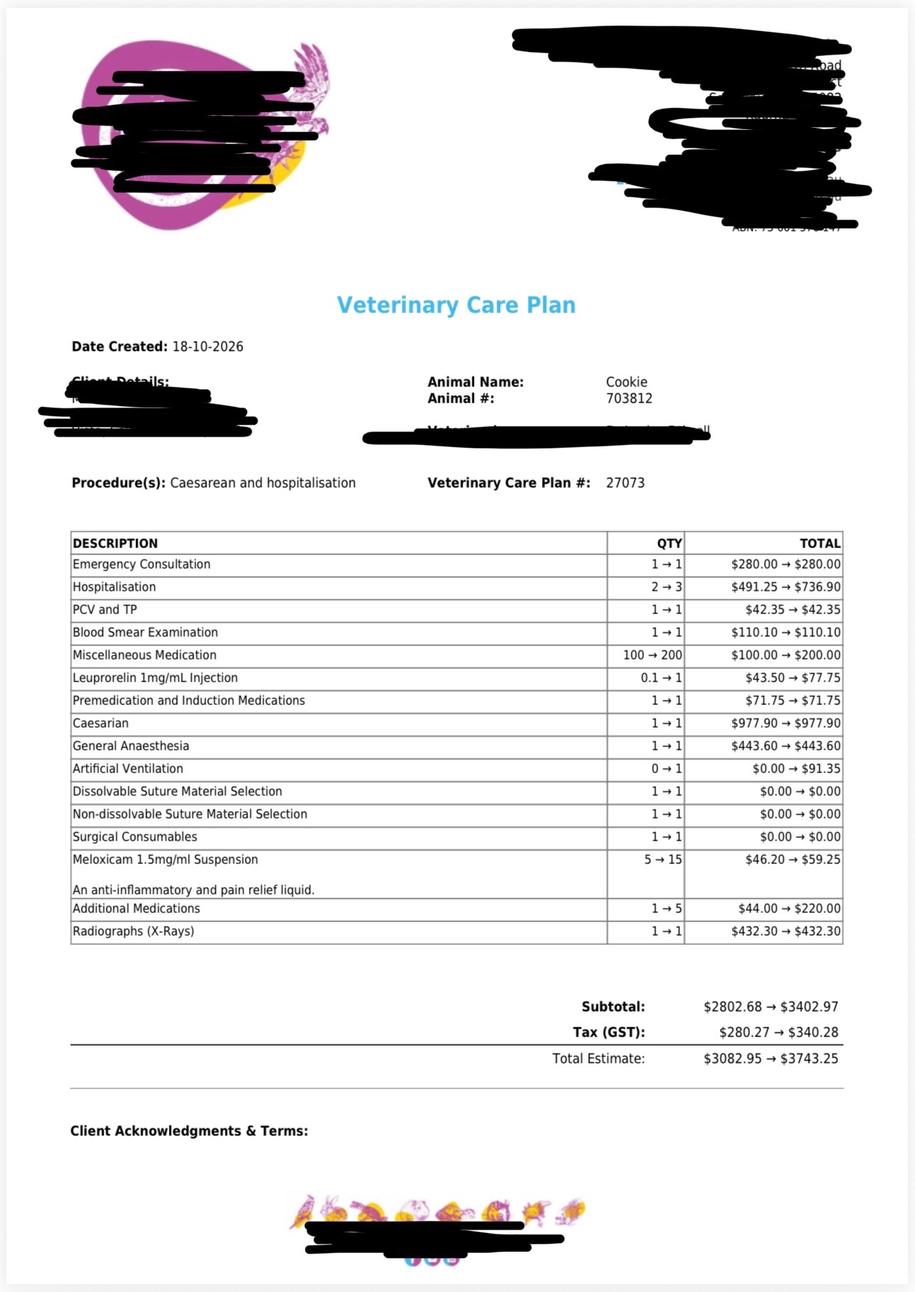Help with Cookie’s Unexpected Vet Bills campaign photo, 5 of 6