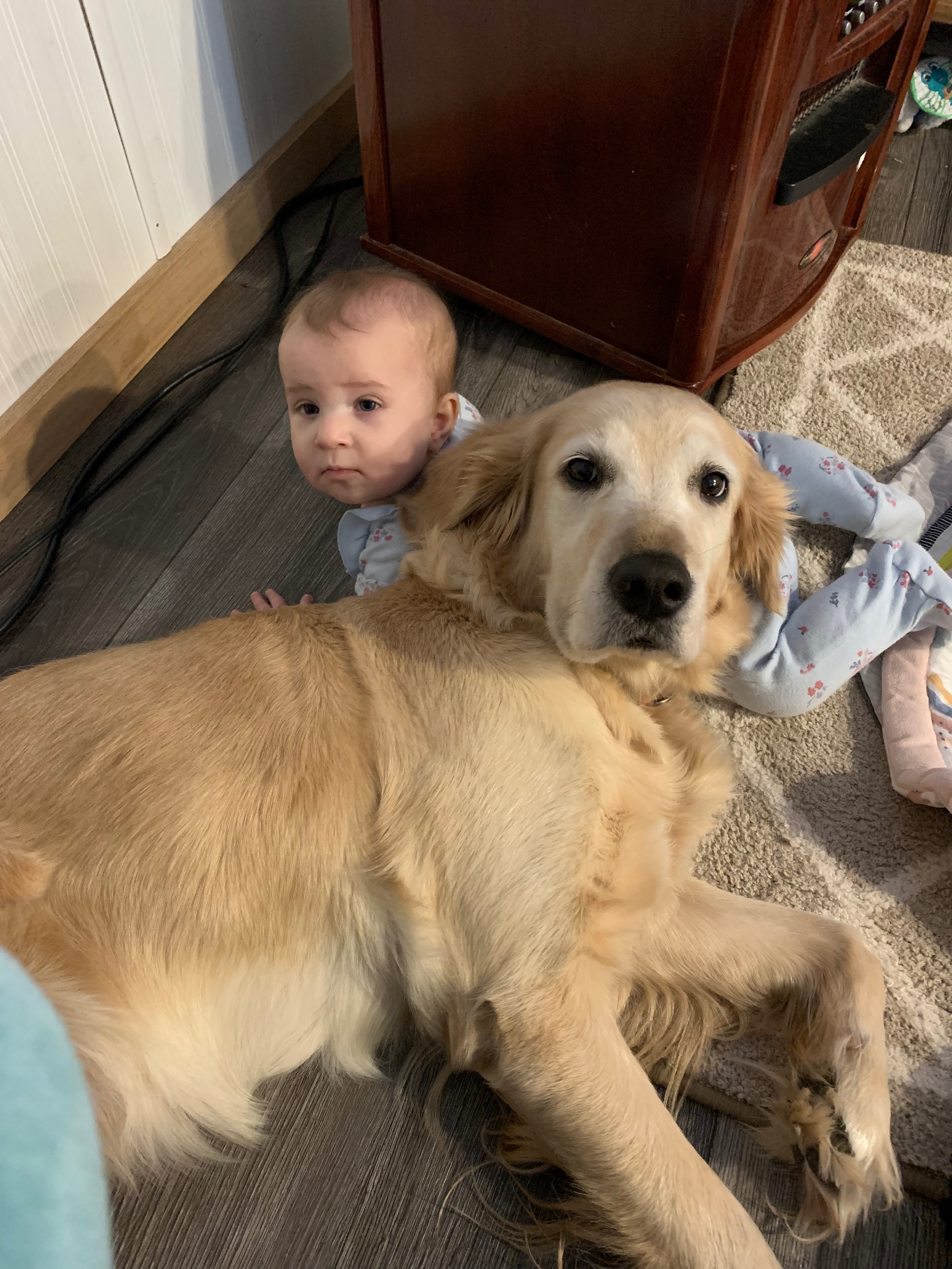 Help Phoenix and her family after emergency surgery campaign photo, 5 of 8