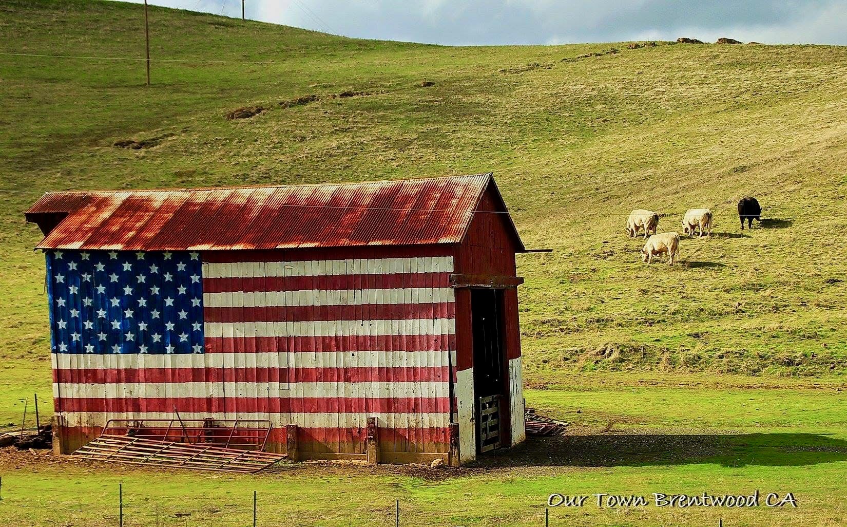 Help Bring Back the Historic Vasco Road Flag Barn Facade campaign photo, 5 of 7