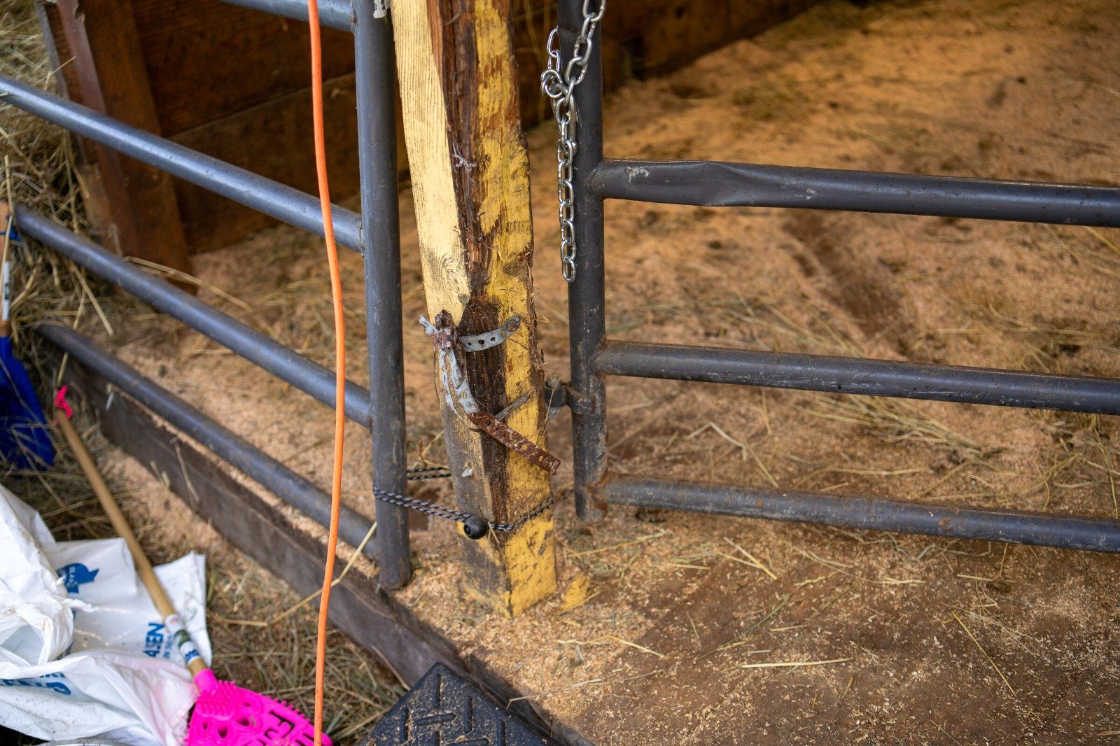 ISKCON Goloka Farm: Help Protect Our Cows campaign photo, 5 of 8