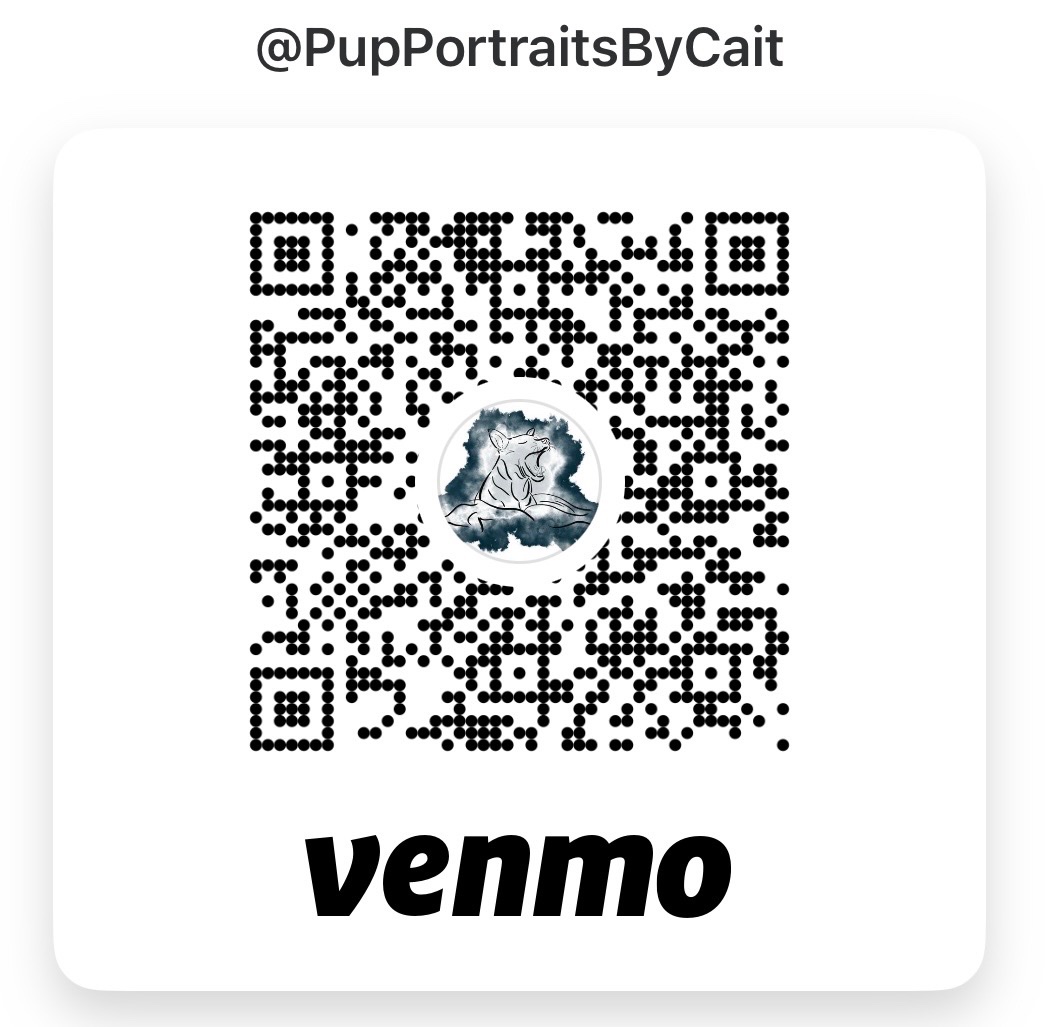 Pup Portraits by Cait: One Portrait Per Day to Reach $25K campaign photo, 4 of 7
