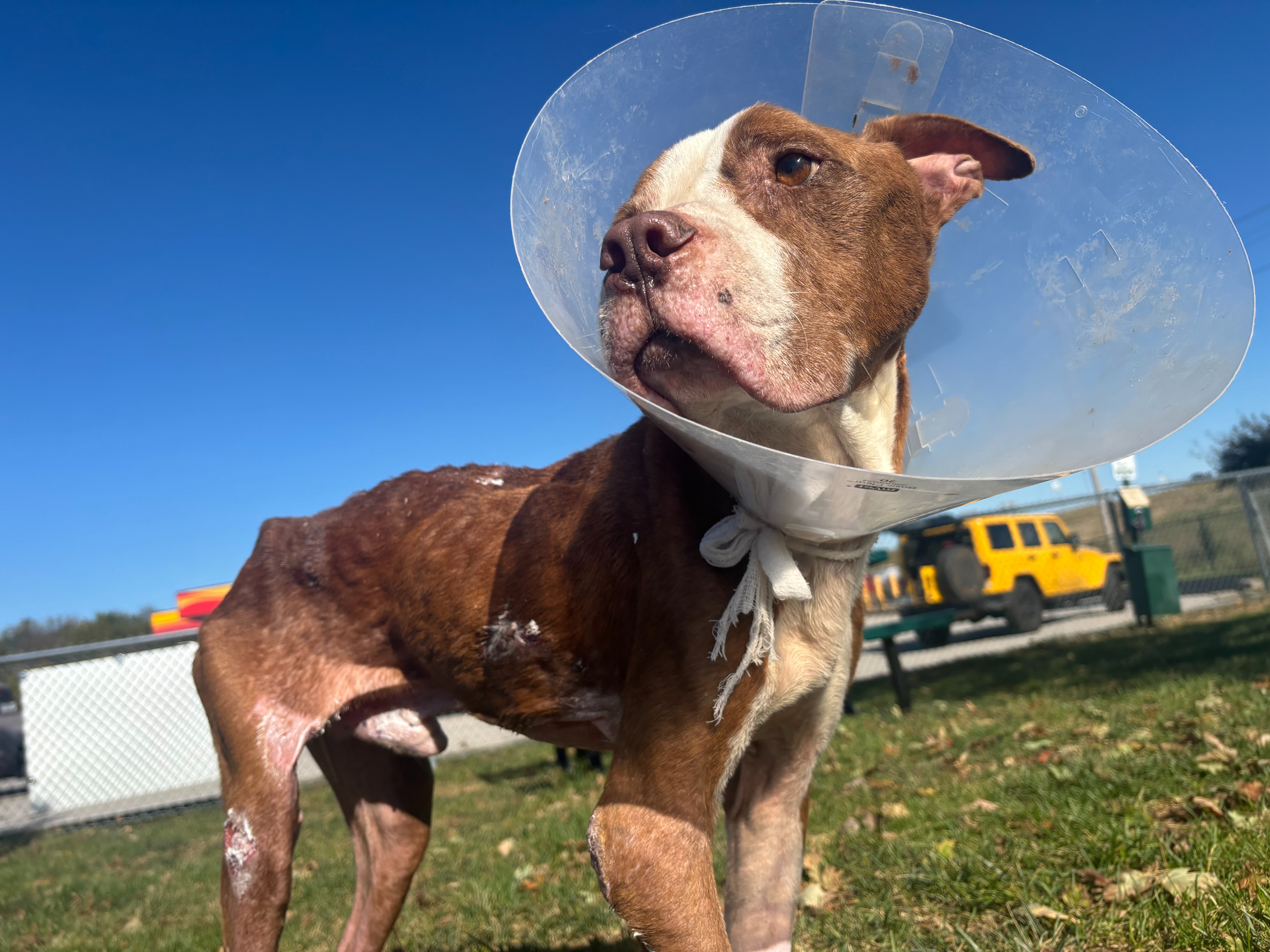 Brooks's Road to Recovery campaign photo, 4 of 8