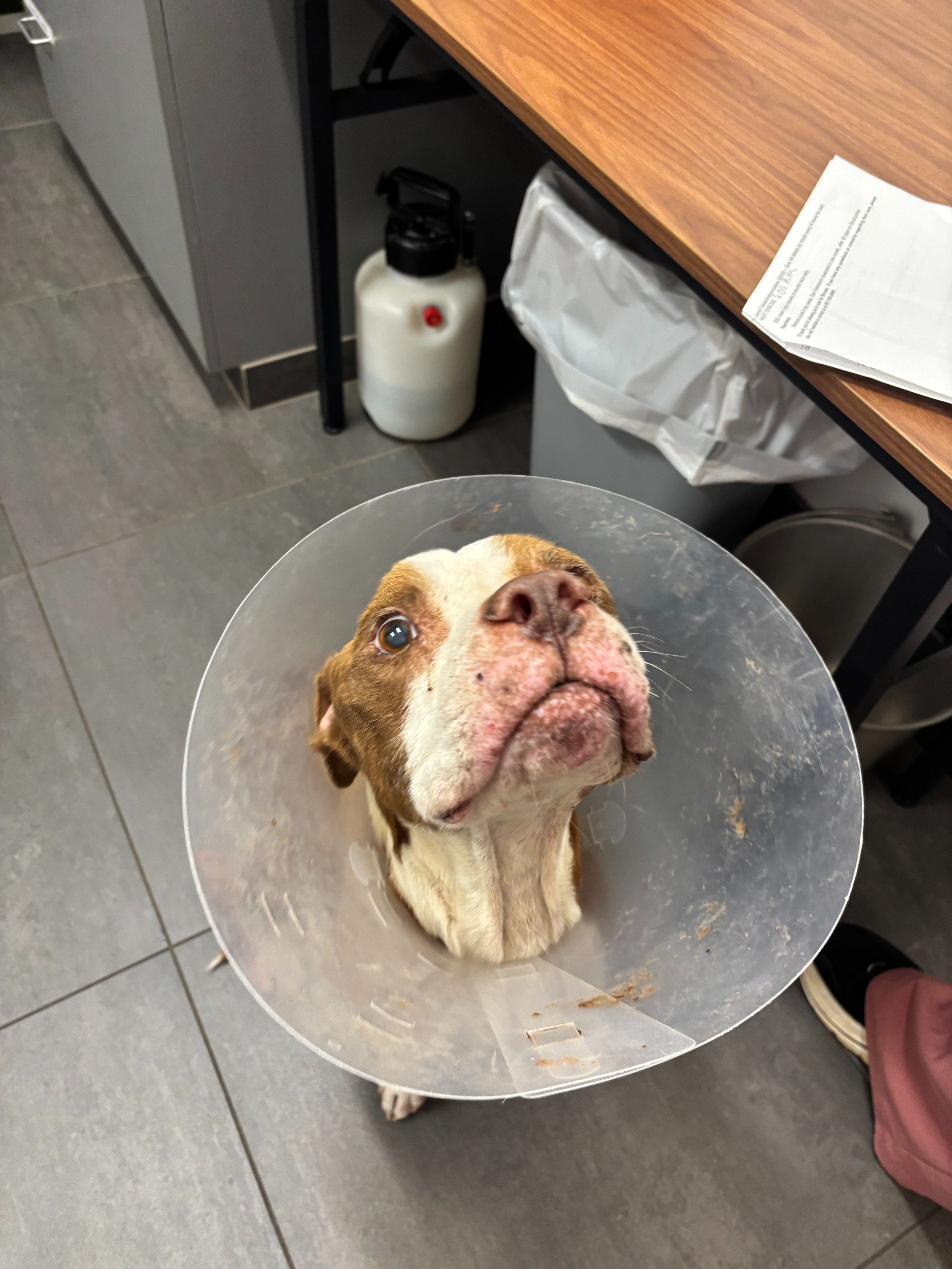 Brooks's Road to Recovery campaign photo, 5 of 8