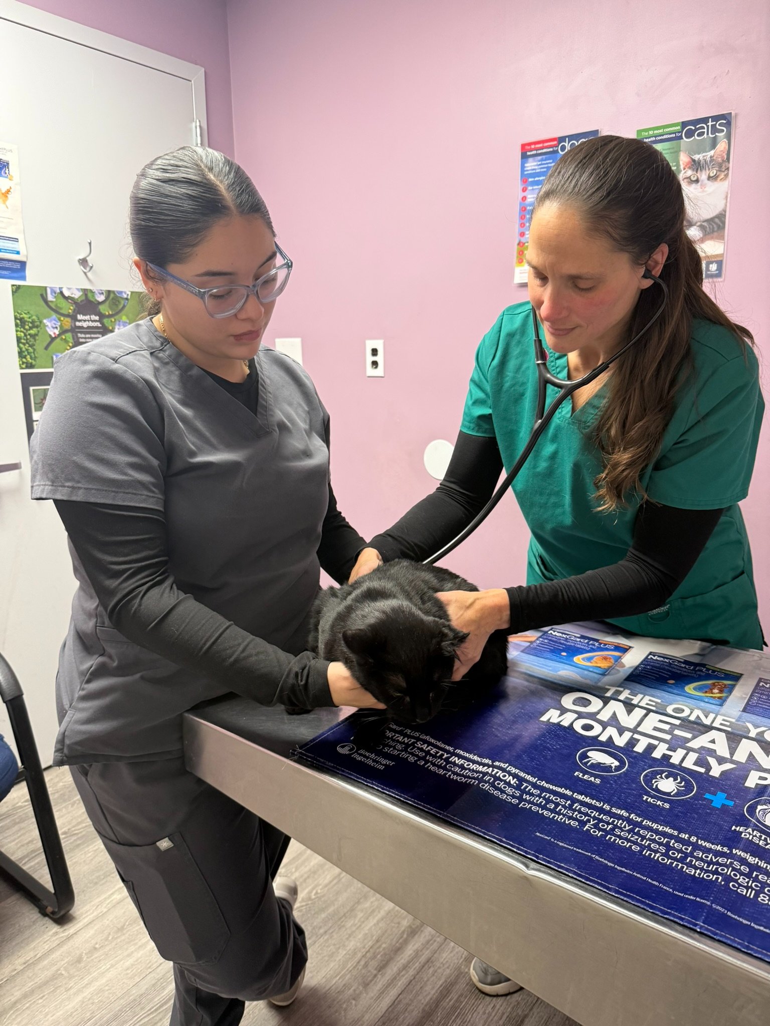 Help Brentwood-Islip Animal Hospital Find a New Home campaign photo, 12 of 13