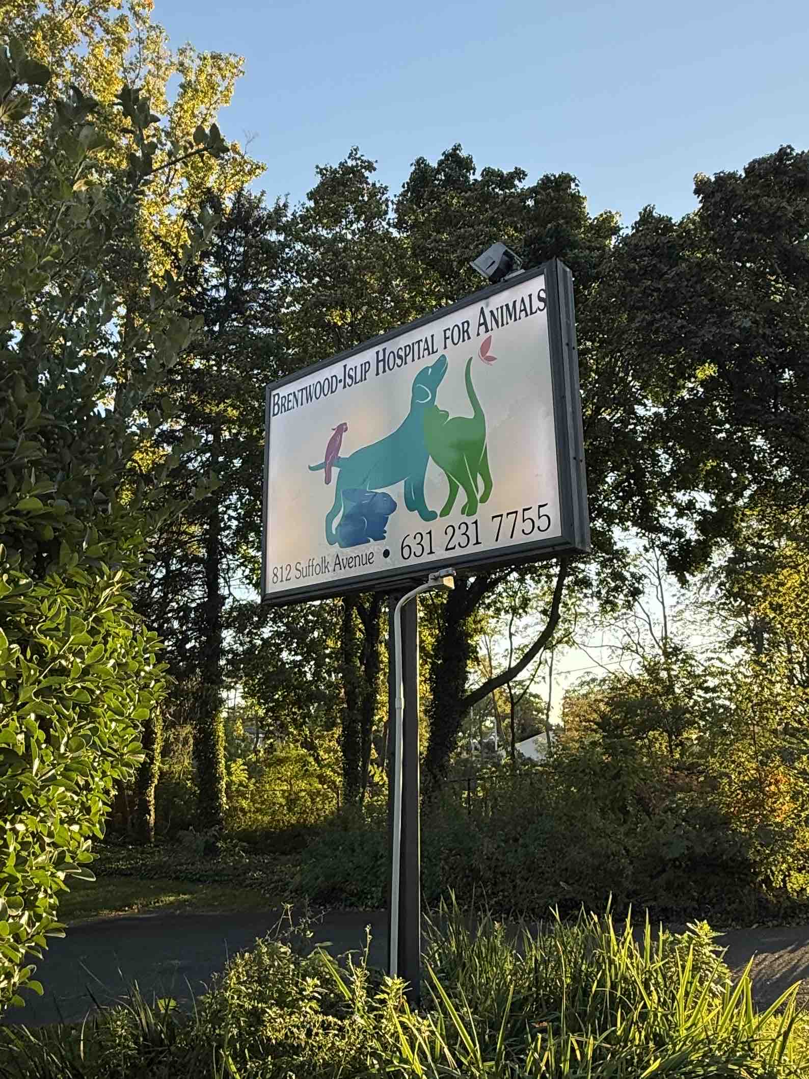 Help Brentwood-Islip Animal Hospital Find a New Home campaign photo, 4 of 13