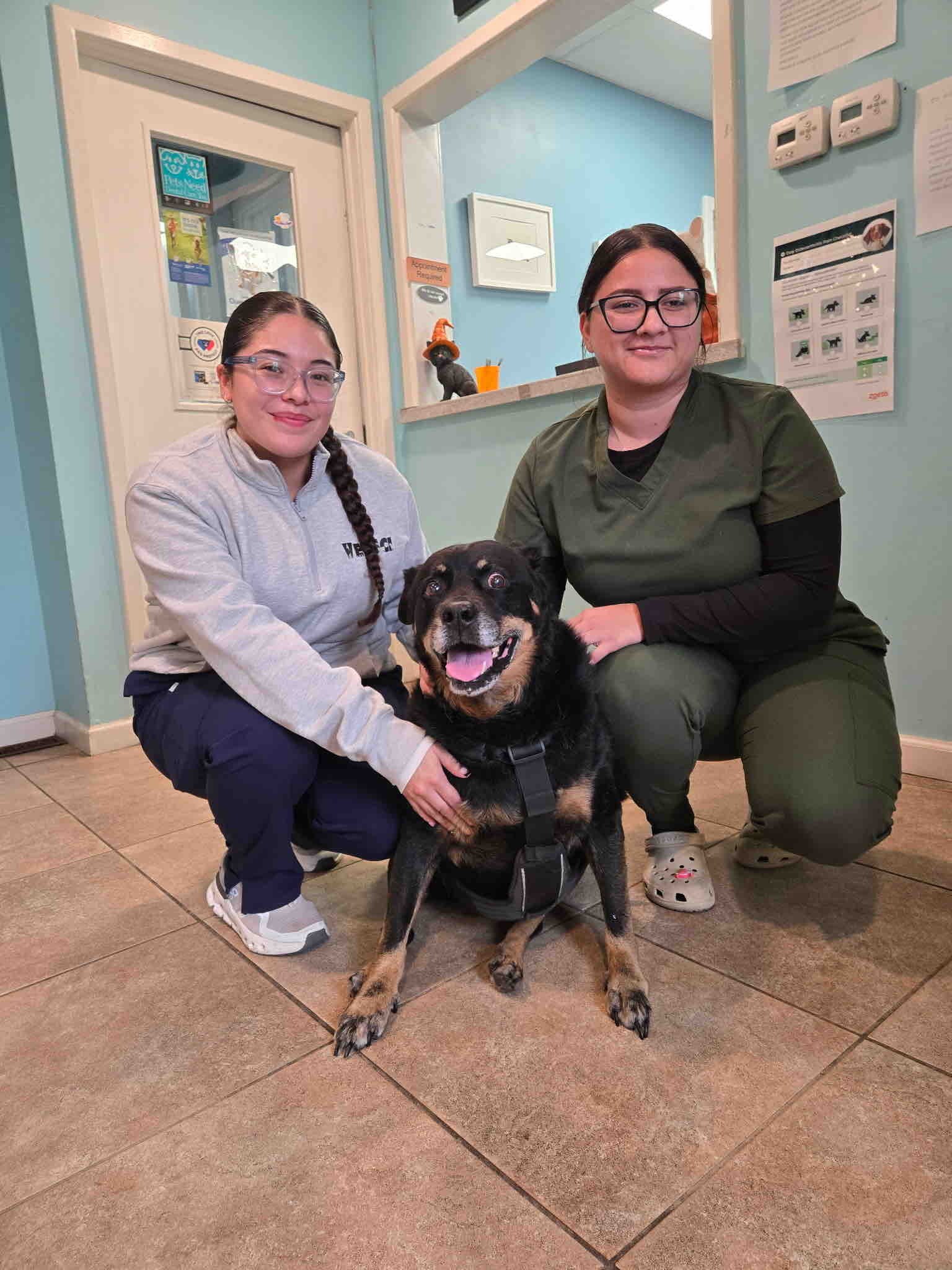 Help Brentwood-Islip Animal Hospital Find a New Home campaign photo, 8 of 13