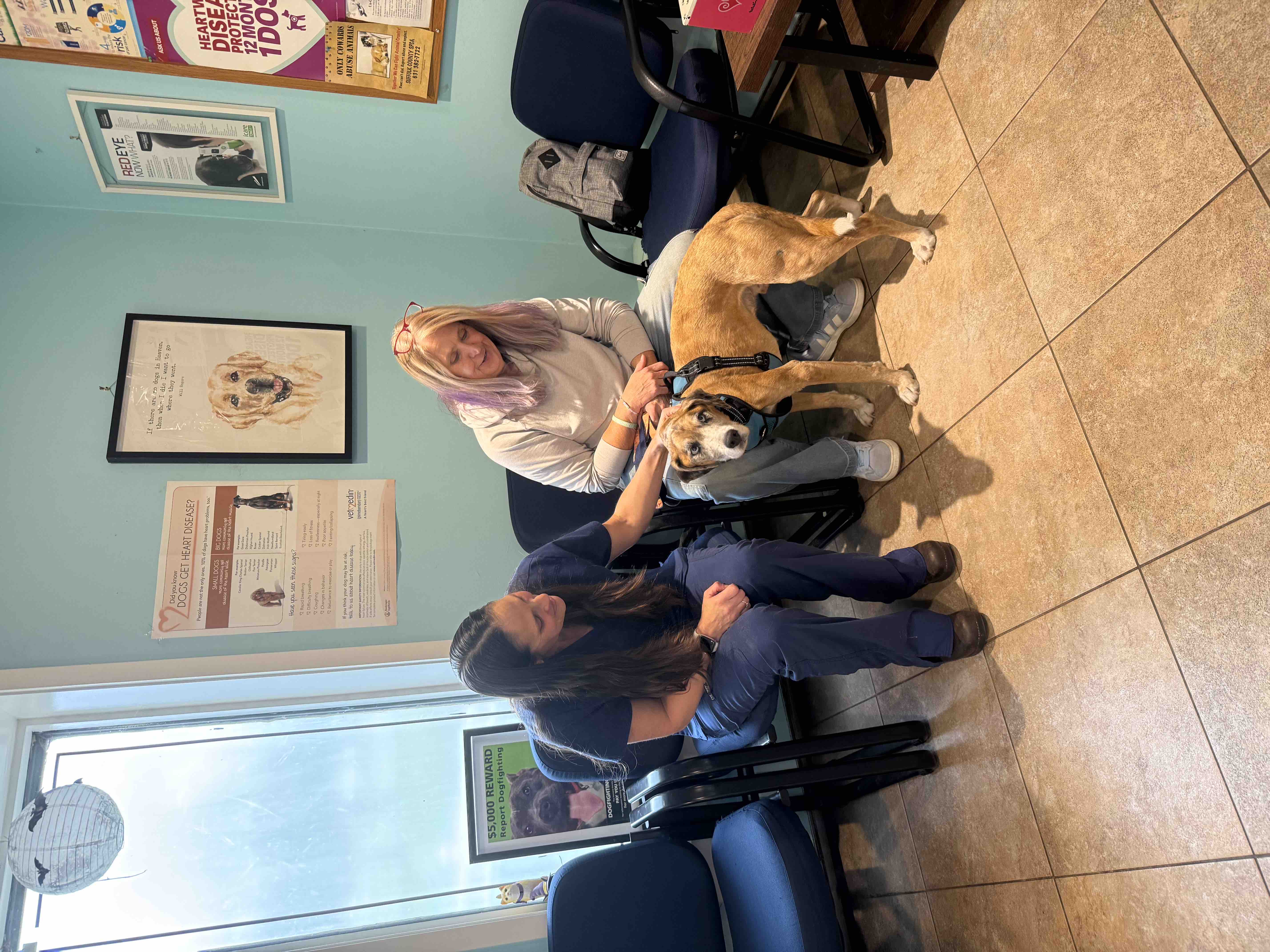Help Brentwood-Islip Animal Hospital Find a New Home campaign photo, 9 of 13