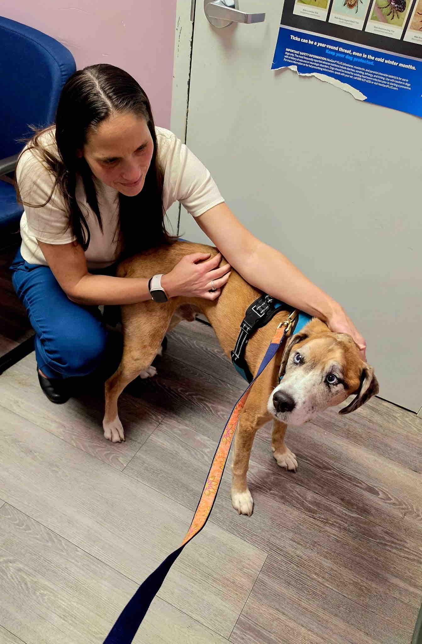 Help Brentwood-Islip Animal Hospital Find a New Home campaign photo, 10 of 13