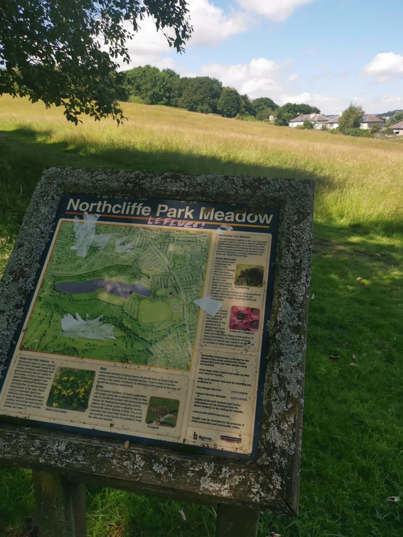 Fundraiser by Joshua Rose : Defibrillator for North Cliffe Park ...