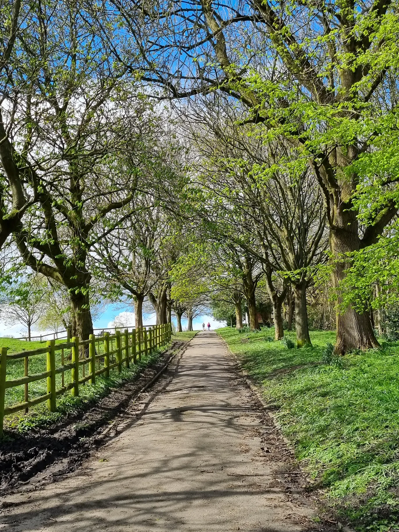 Fundraiser by Joshua Rose : Defibrillator for North Cliffe Park ...