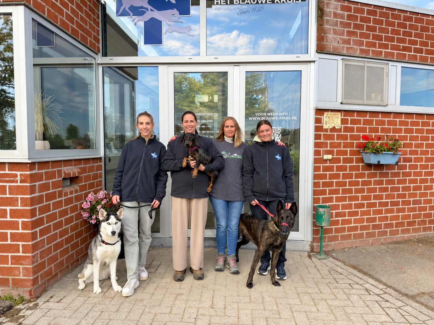 Dierenasiel in nood: red hun veilige haven campaign photo, 7 of 8