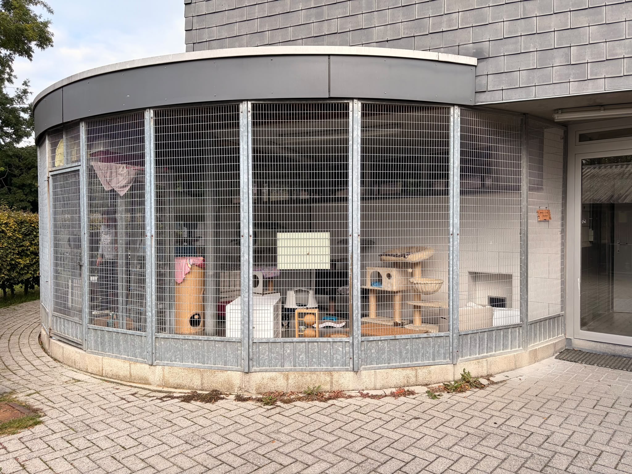 Dierenasiel in nood: red hun veilige haven campaign photo, 6 of 8