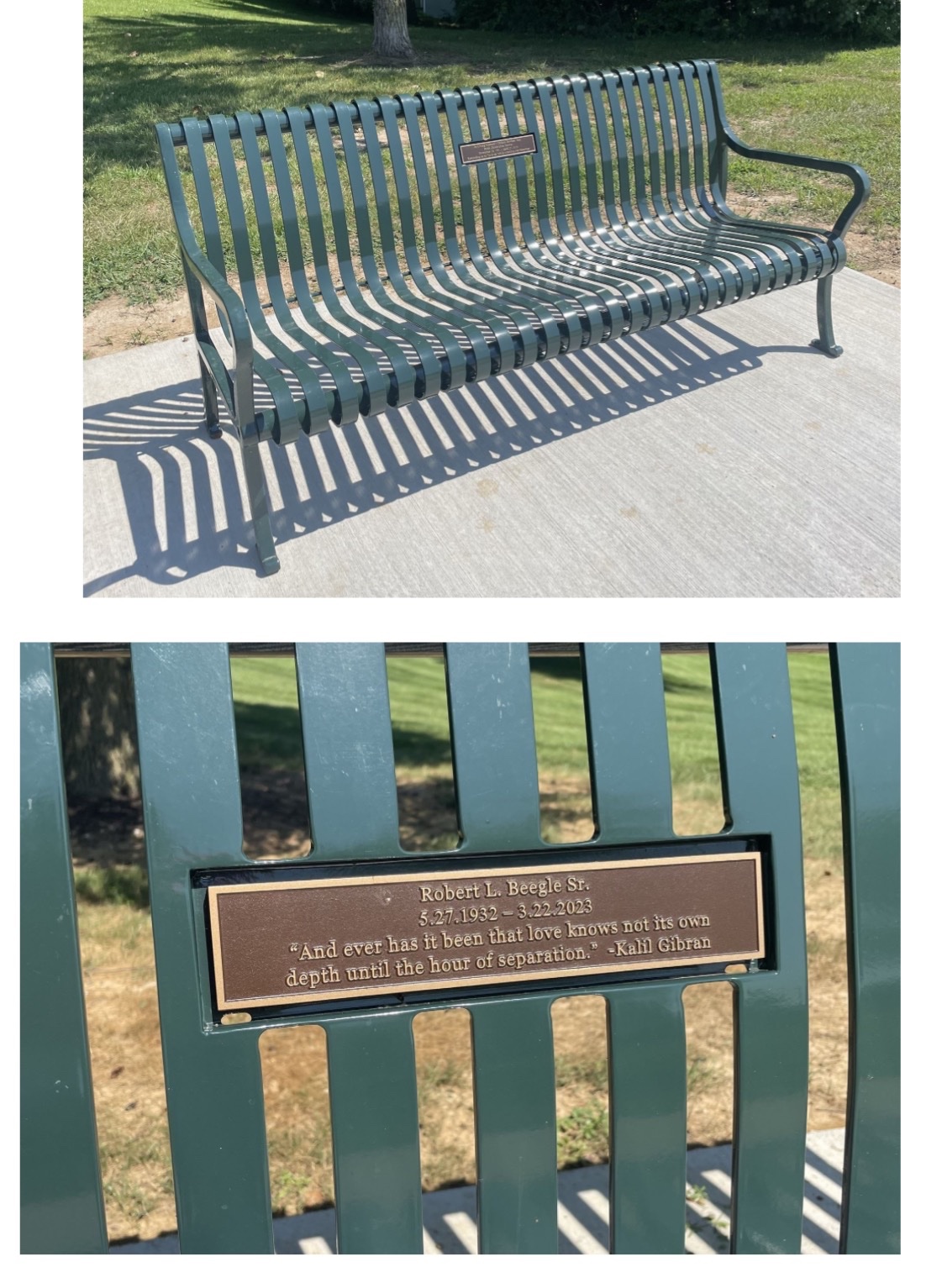 Dave McCollum Memorial Bench and Tree campaign photo, 7 of 8
