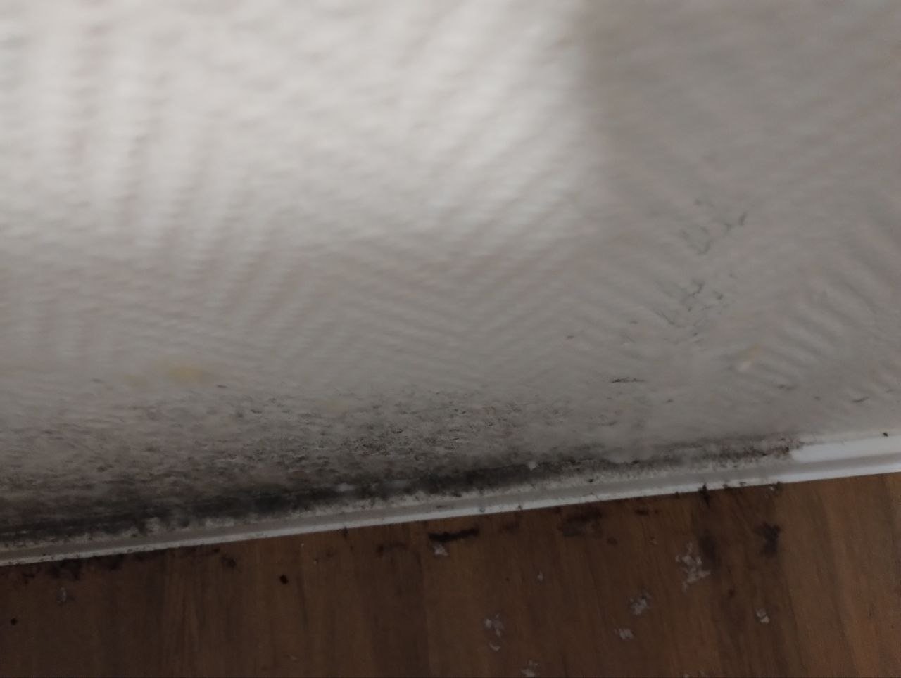 Kampagnen-Foto für Hilfe bei drohender Armut, 7 von 8