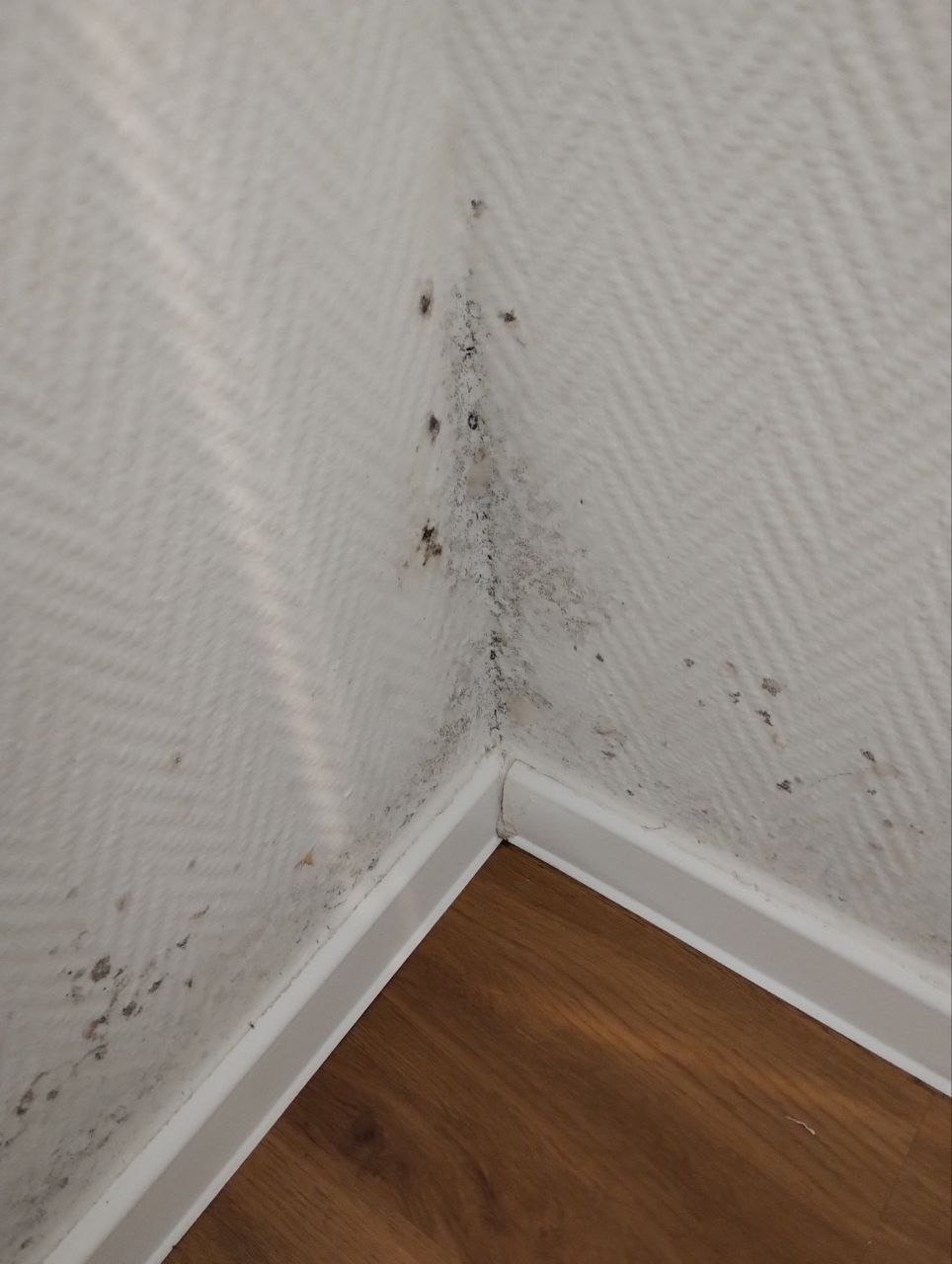 Kampagnen-Foto für Hilfe bei drohender Armut, 2 von 8