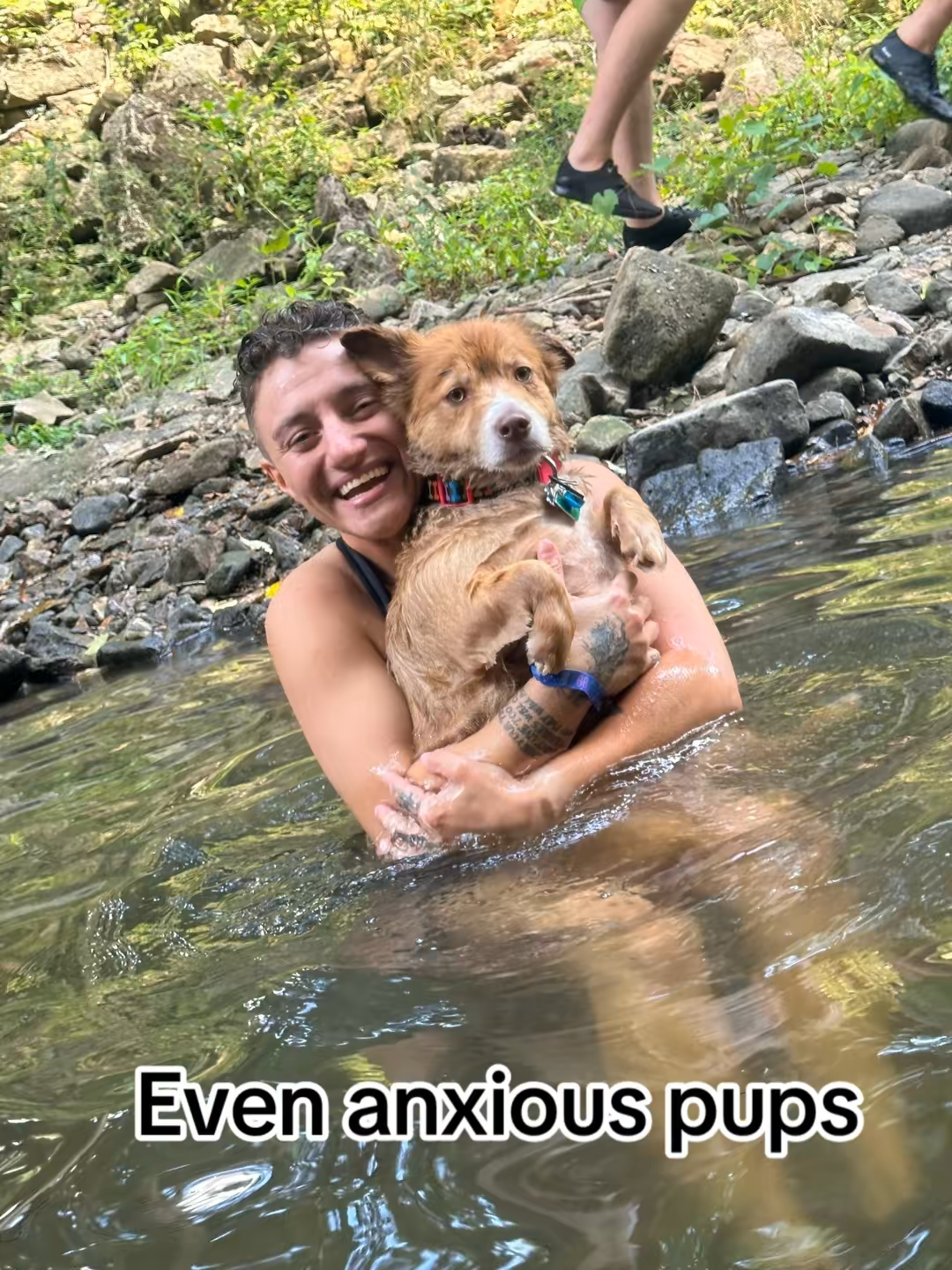 Fundraiser by Caitlin Hill : Standing with Moose Through Emergency Care