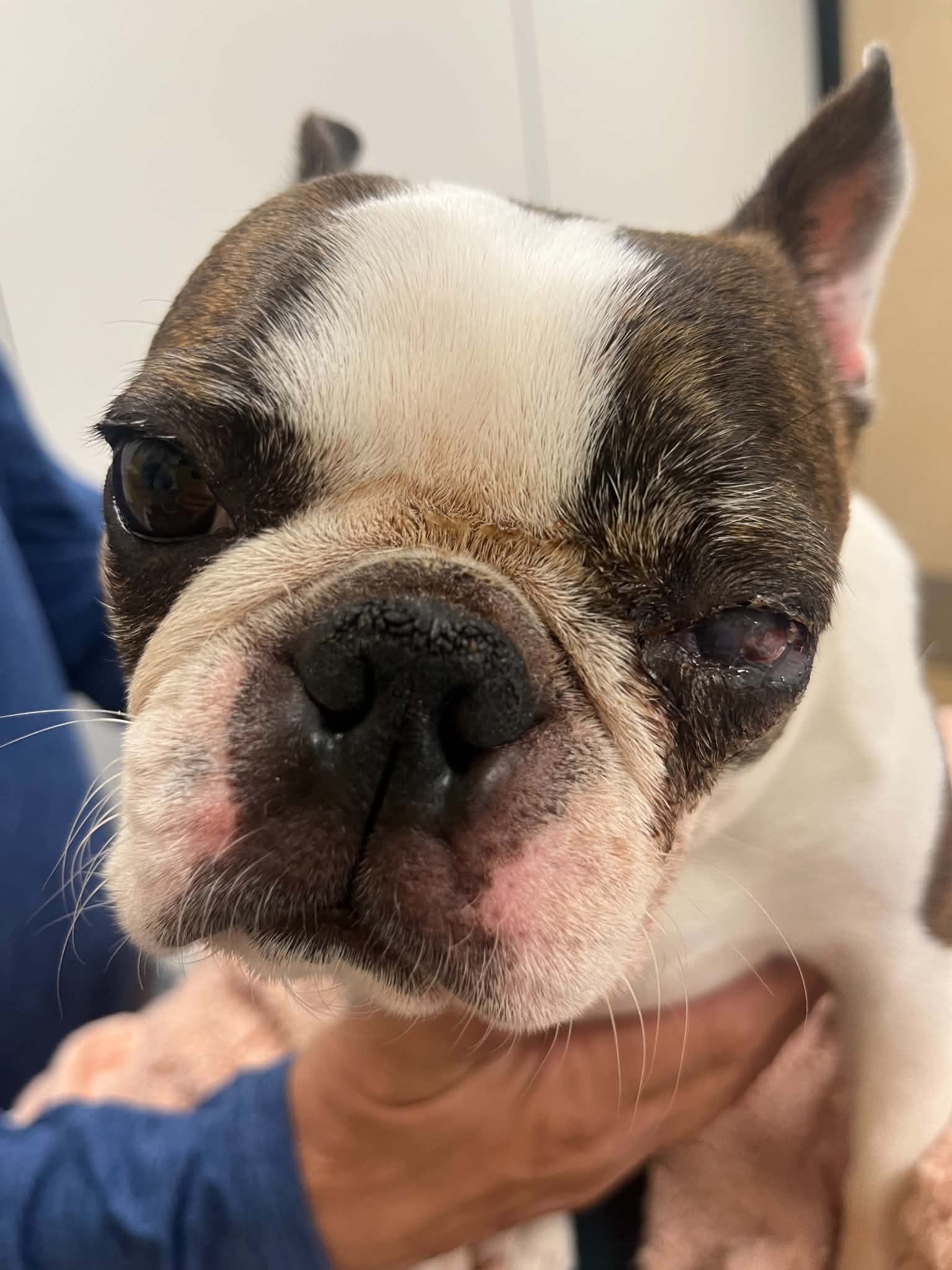 Help Harmony Get the Care She Needs ❤️ campaign photo, 2 of 8
