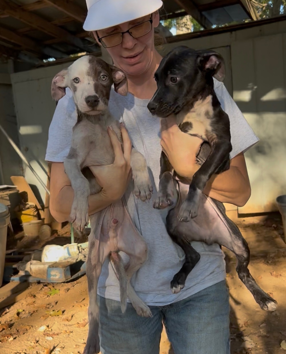 Help Two Emaciated Puppies Get Urgent Care campaign photo, 5 of 6