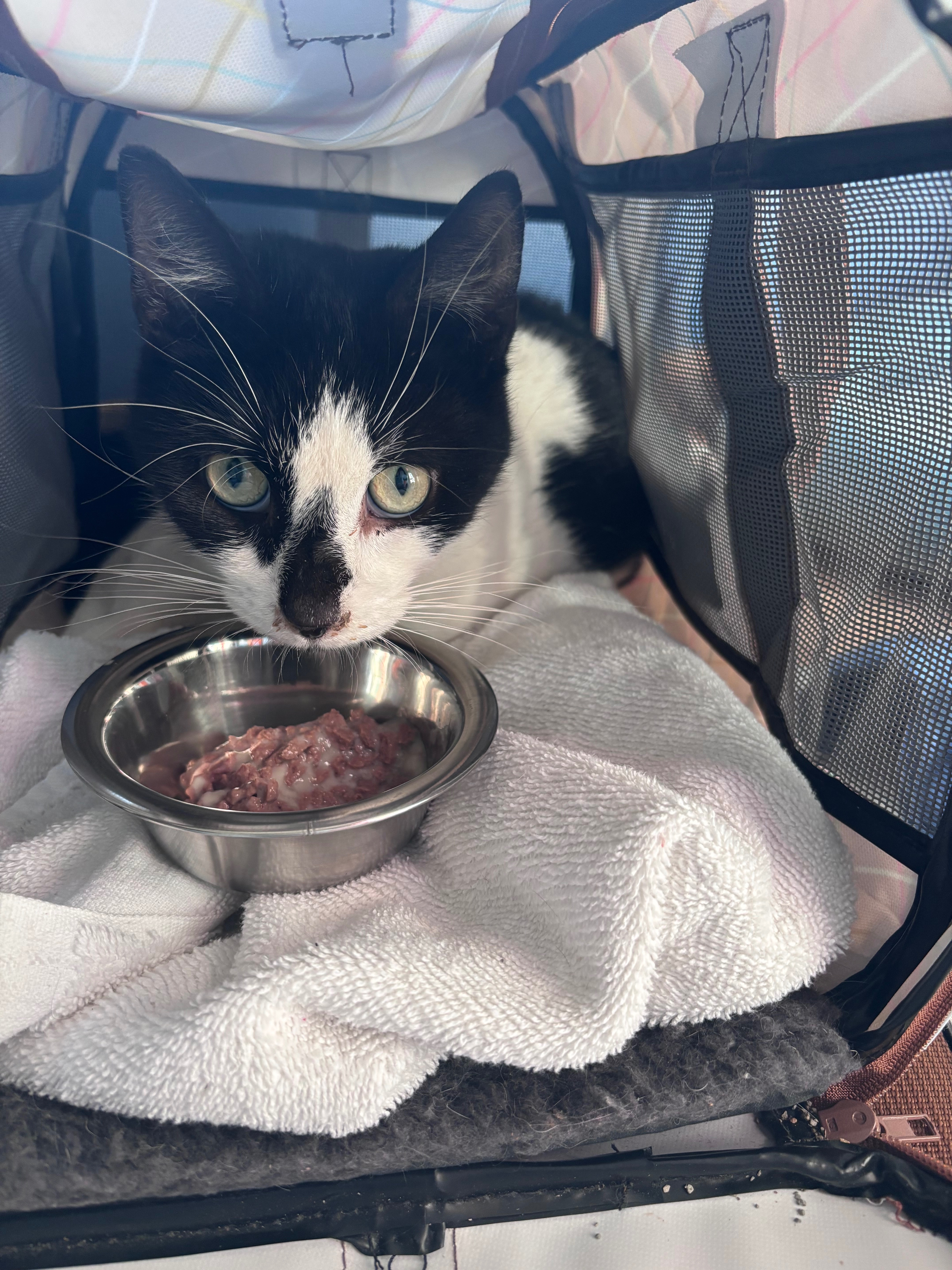 Fundraiser by Shelly Brown : Care for Eddie’s Amputation and Recovery