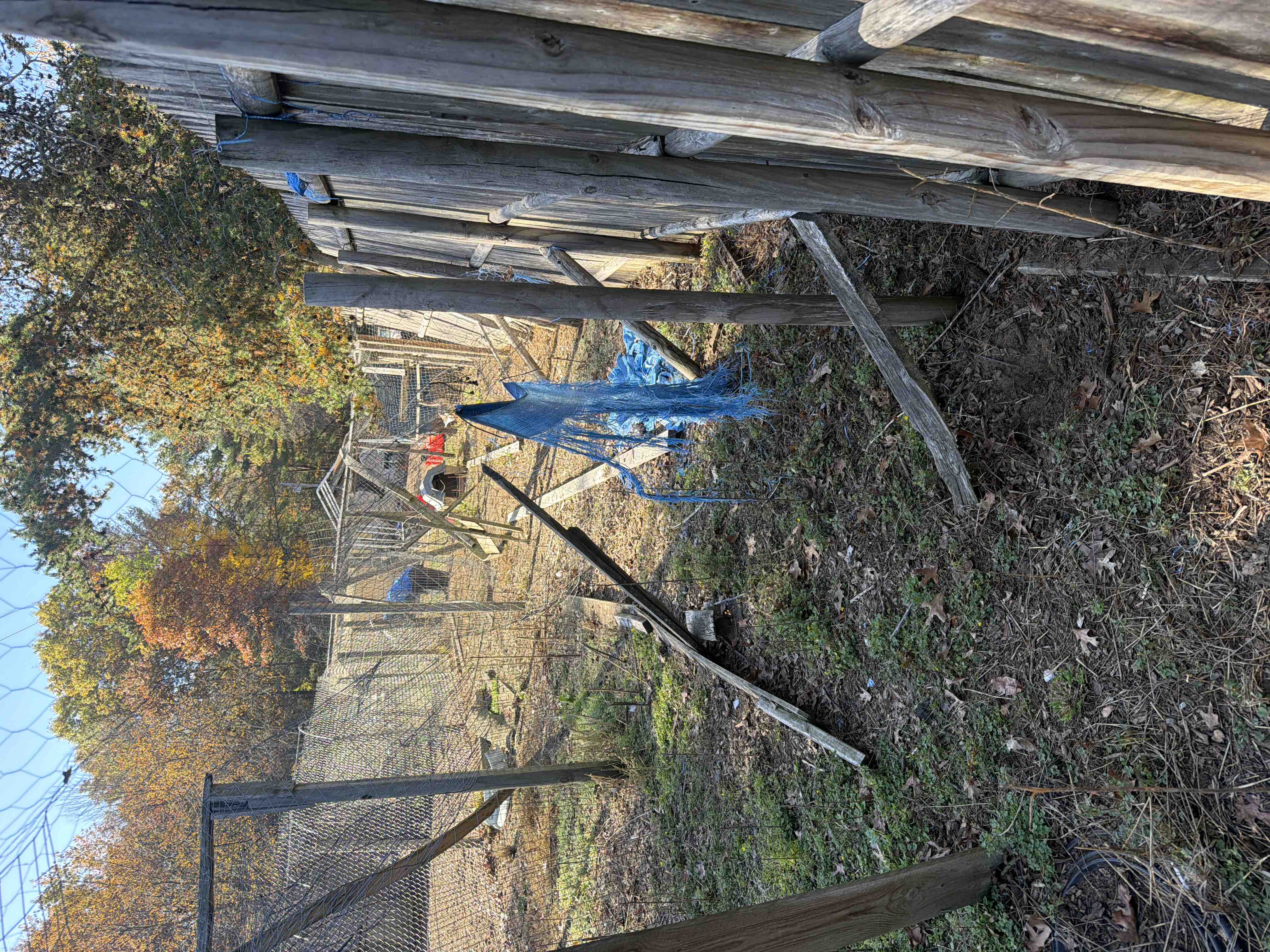 Tornado hit animal sanctuary and rescue campaign photo, 12 of 13