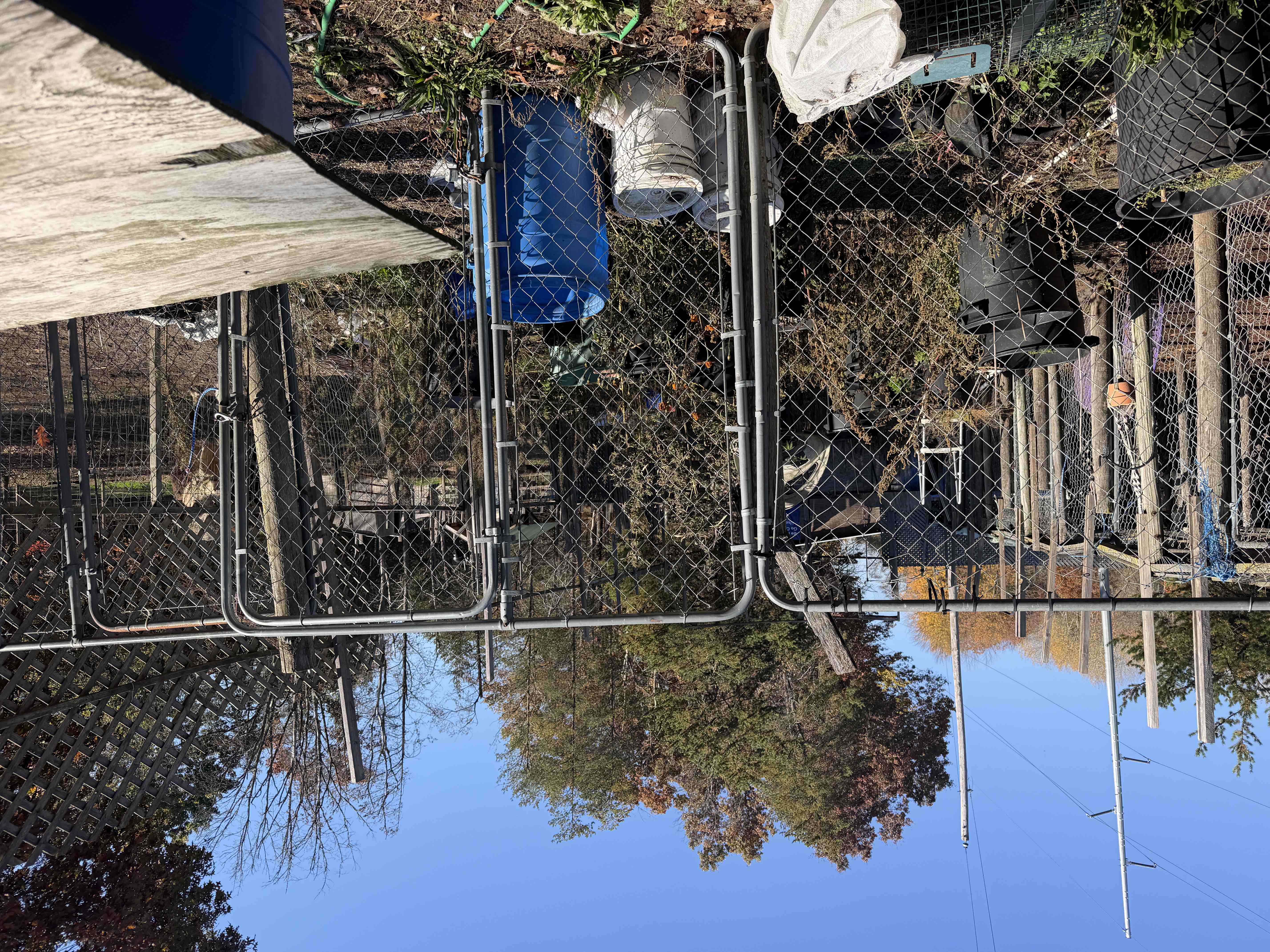 Tornado hit animal sanctuary and rescue campaign photo, 5 of 13