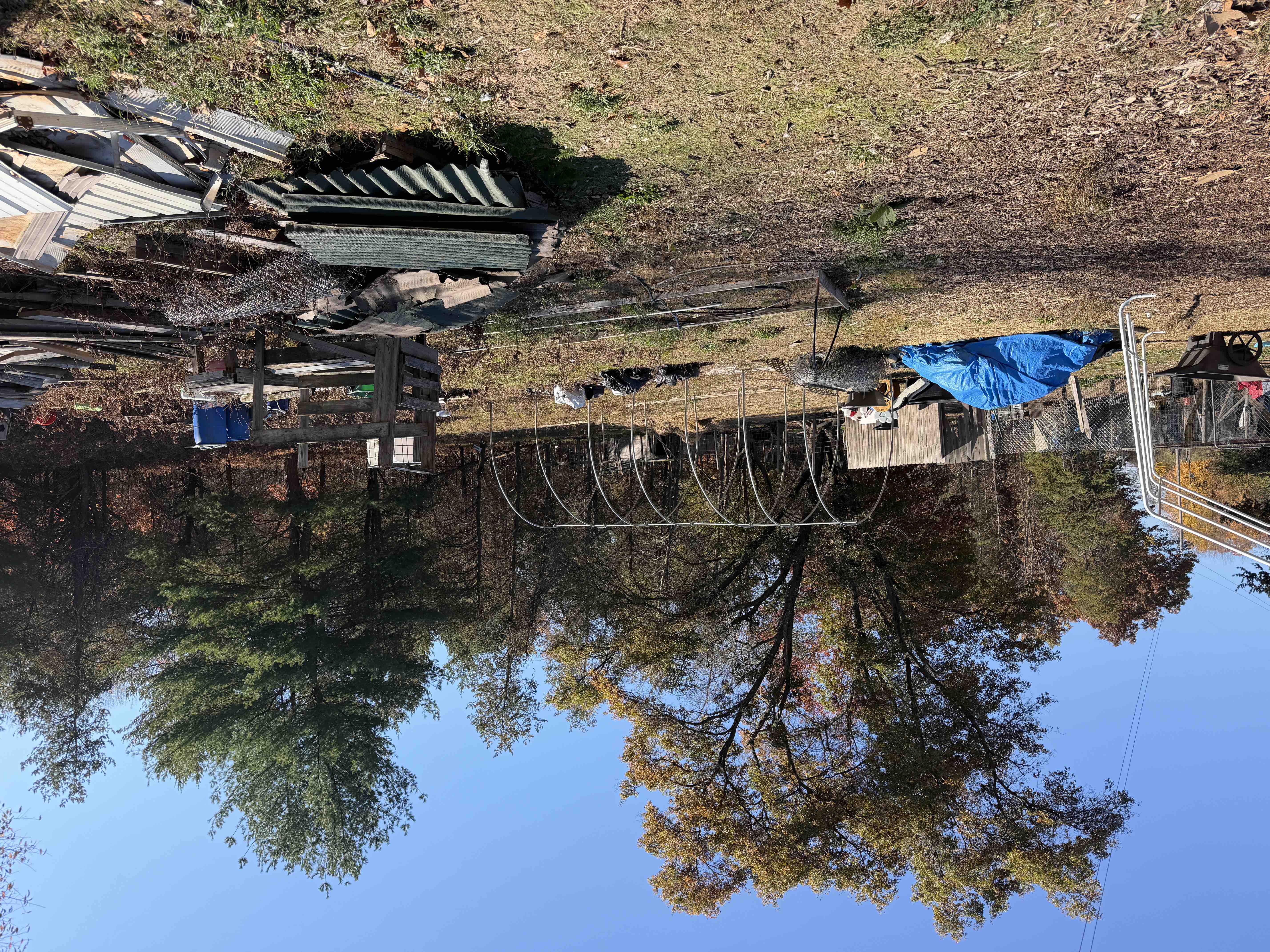Tornado hit animal sanctuary and rescue campaign photo, 7 of 13
