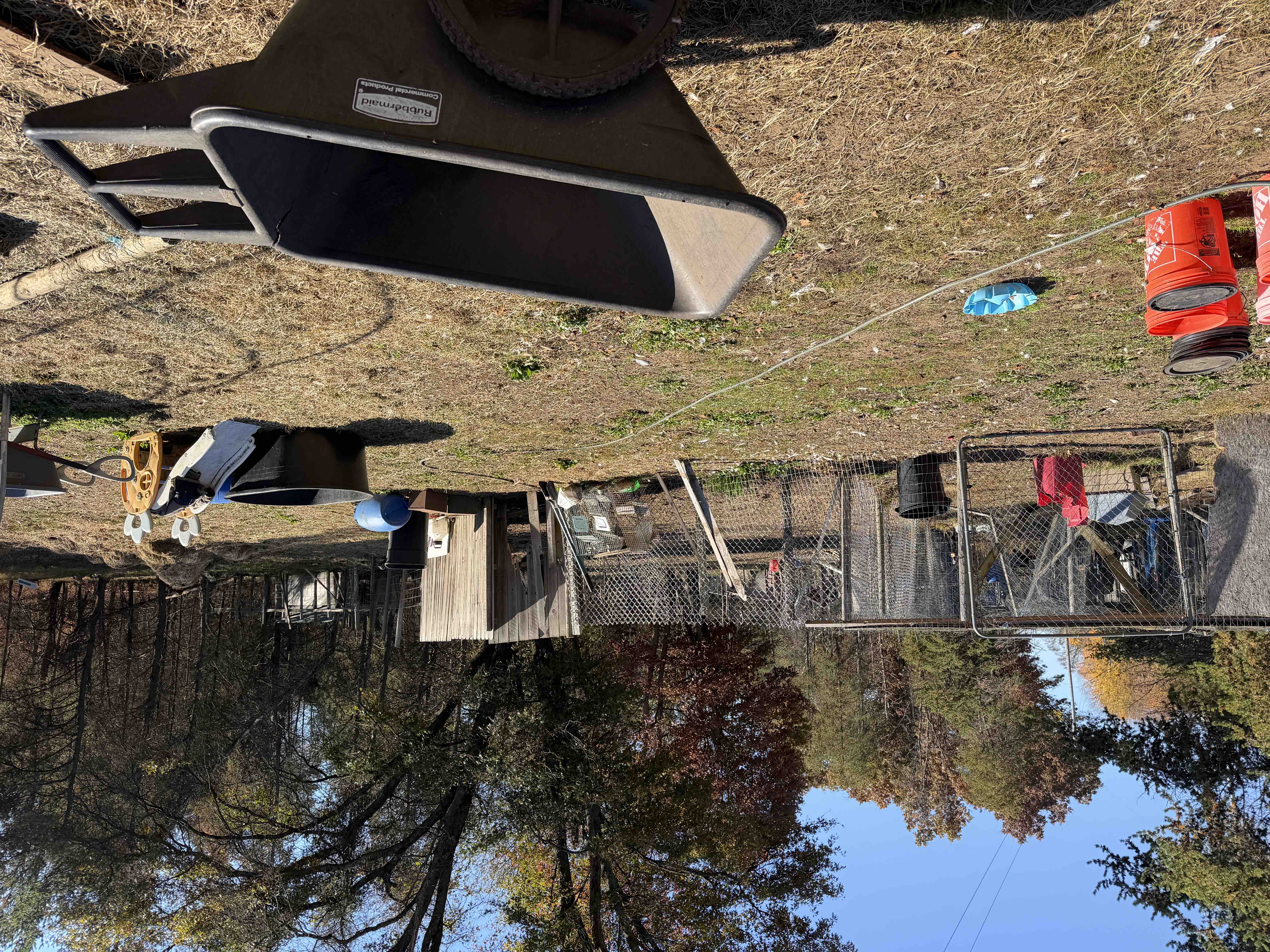 Tornado hit animal sanctuary and rescue campaign photo, 11 of 13