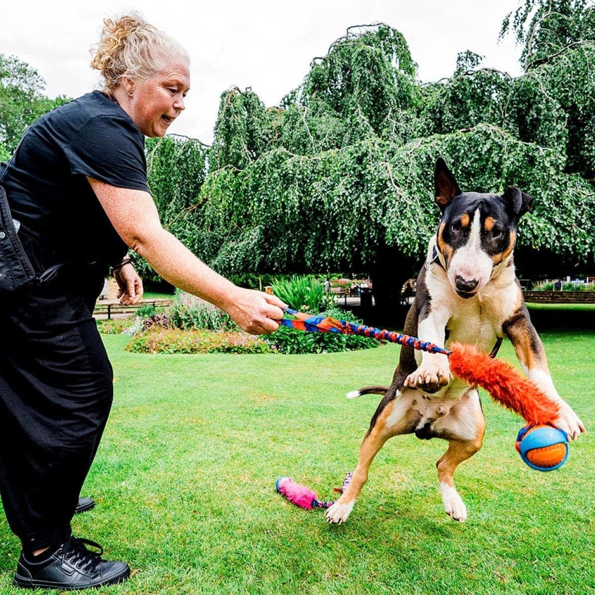 Fundraiser by Genevieve McCrary : Paws for a Cause: Help Us Help RSPCA ...