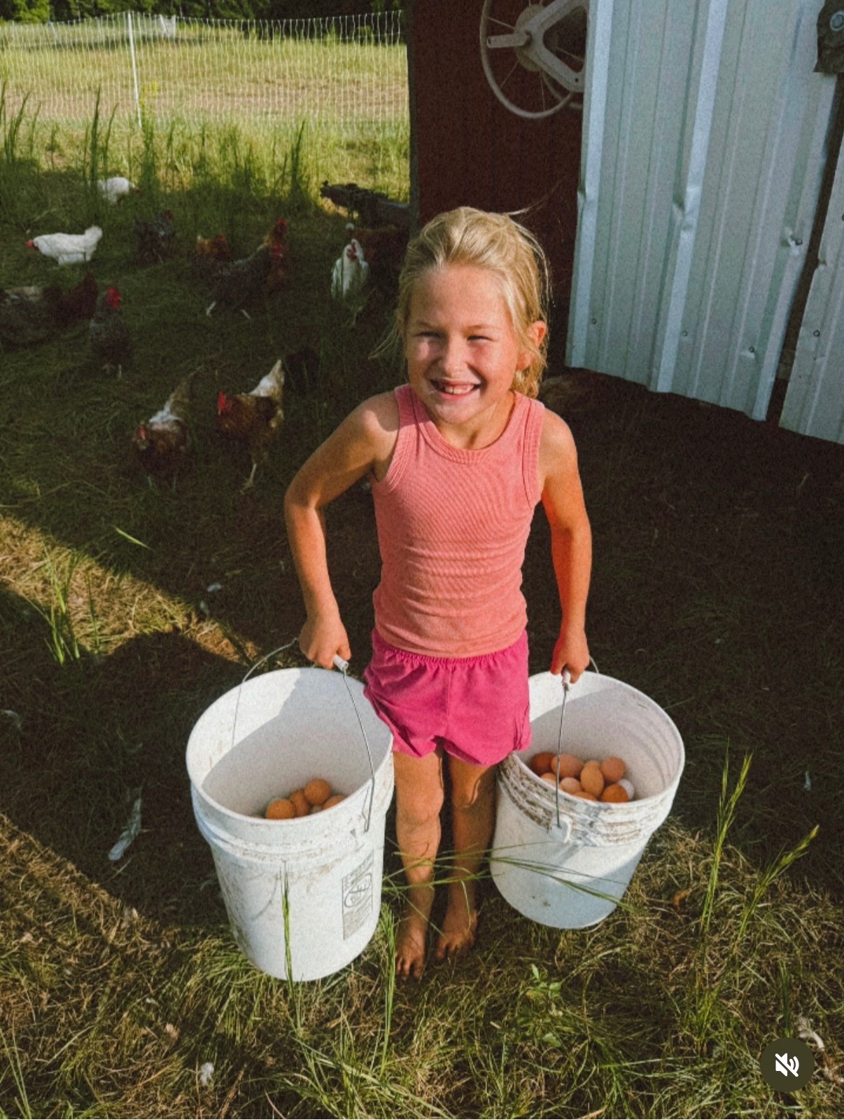 Helping Sweet Magnolia Farms Recover campaign photo, 4 of 5