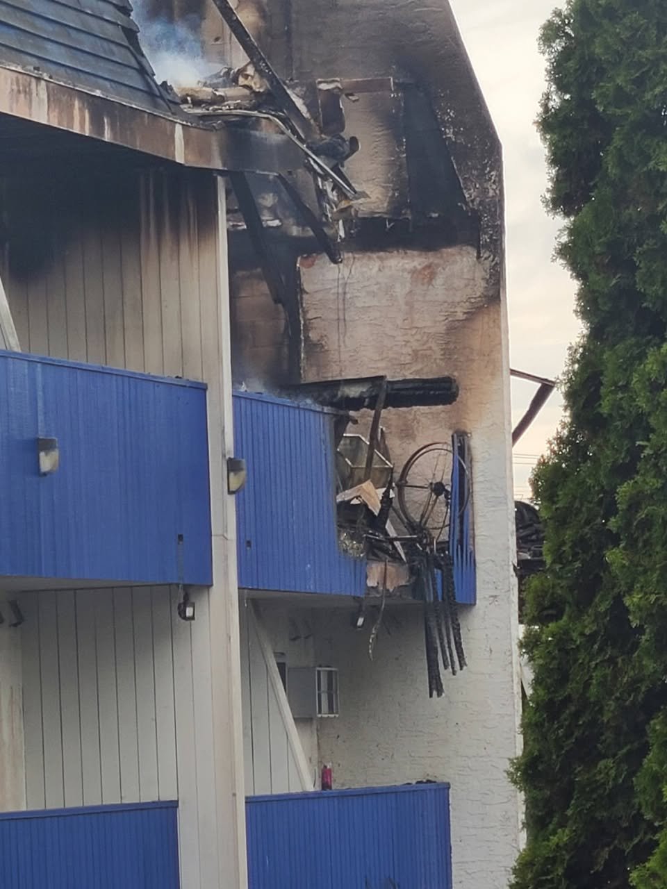 Samten's, Fire recovery fund campaign photo, 4 of 6