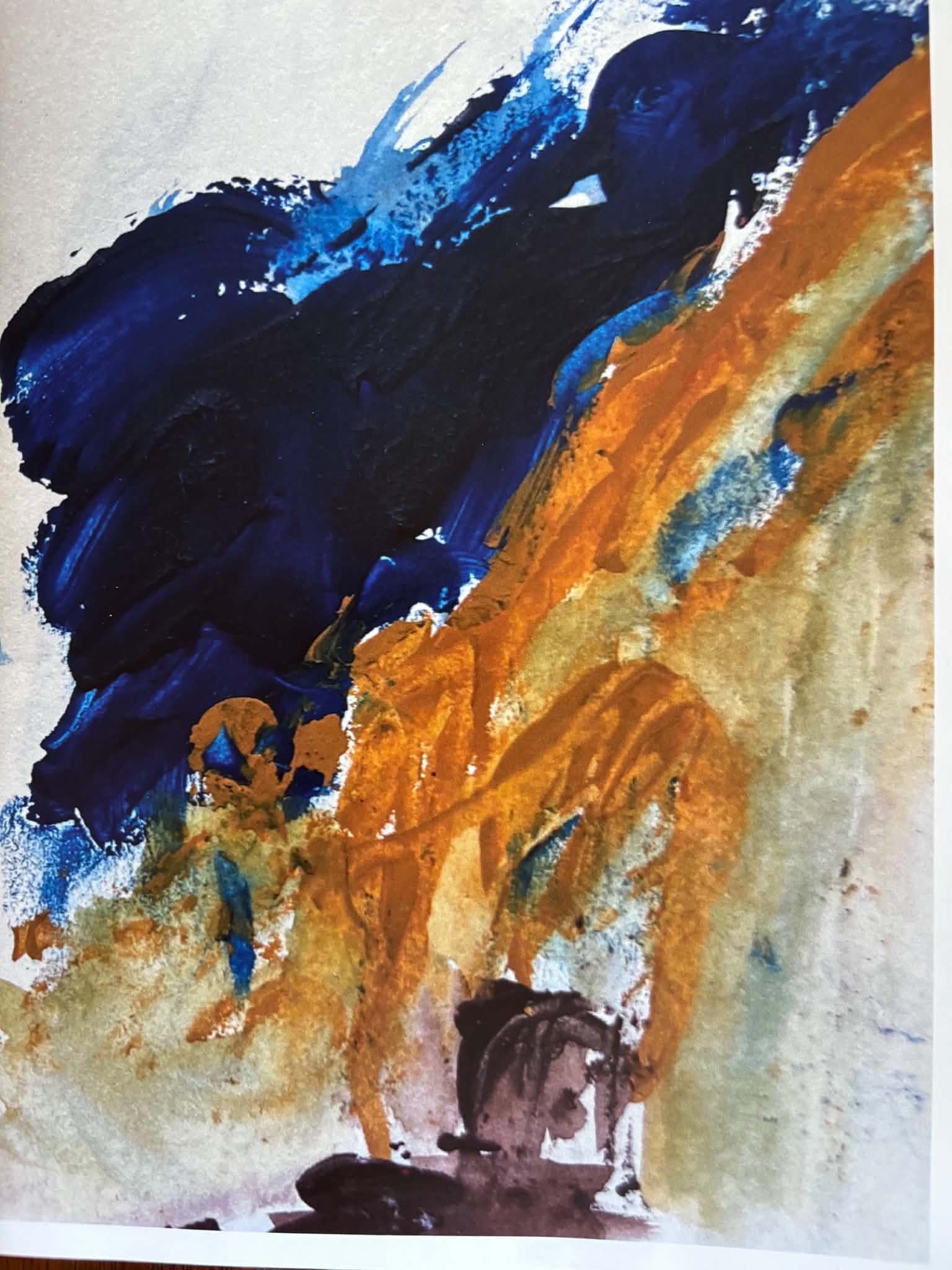 Fundraiser by Maria Magdalena Luchini : Publish Adrian Luchini's Book