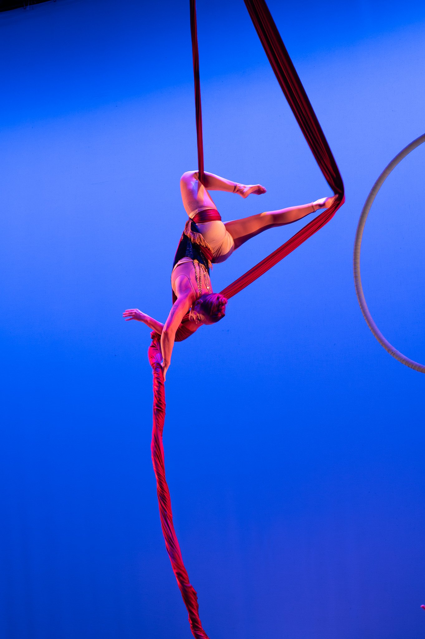 Help Build The Aerium’s New Home for Aerial Arts campaign photo, 2 of 5