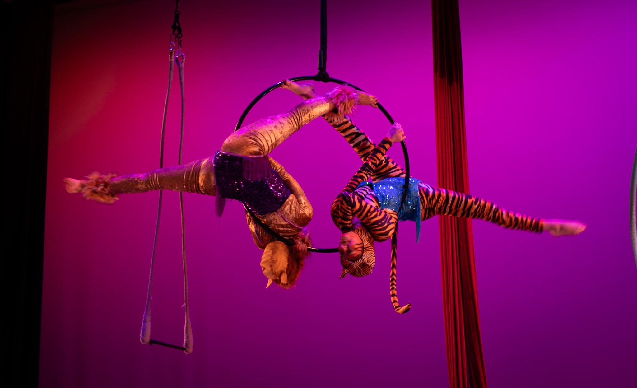 Help Build The Aerium’s New Home for Aerial Arts campaign photo, 4 of 5