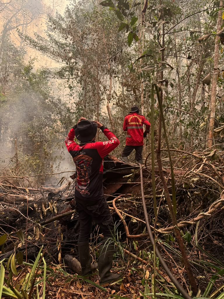 Save Borneo's Rainforests – From Fire to Recovery campaign photo, 5 of 8