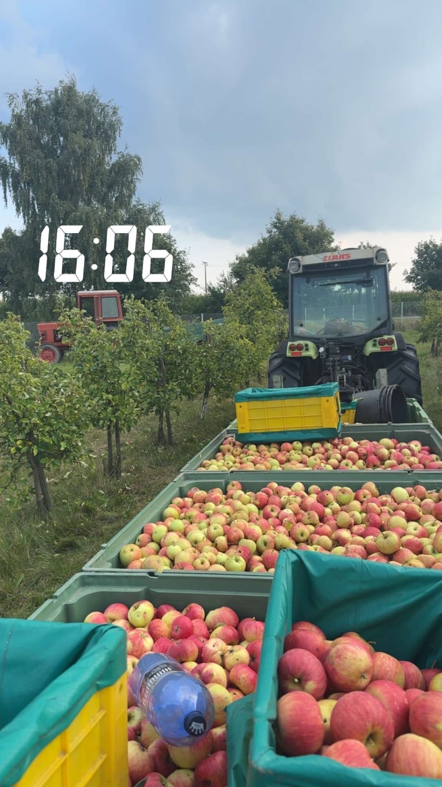 Foto della campagna Helft uns, unseren Bio Obsthof und die Zukunft unserer Famil, 4 di 6