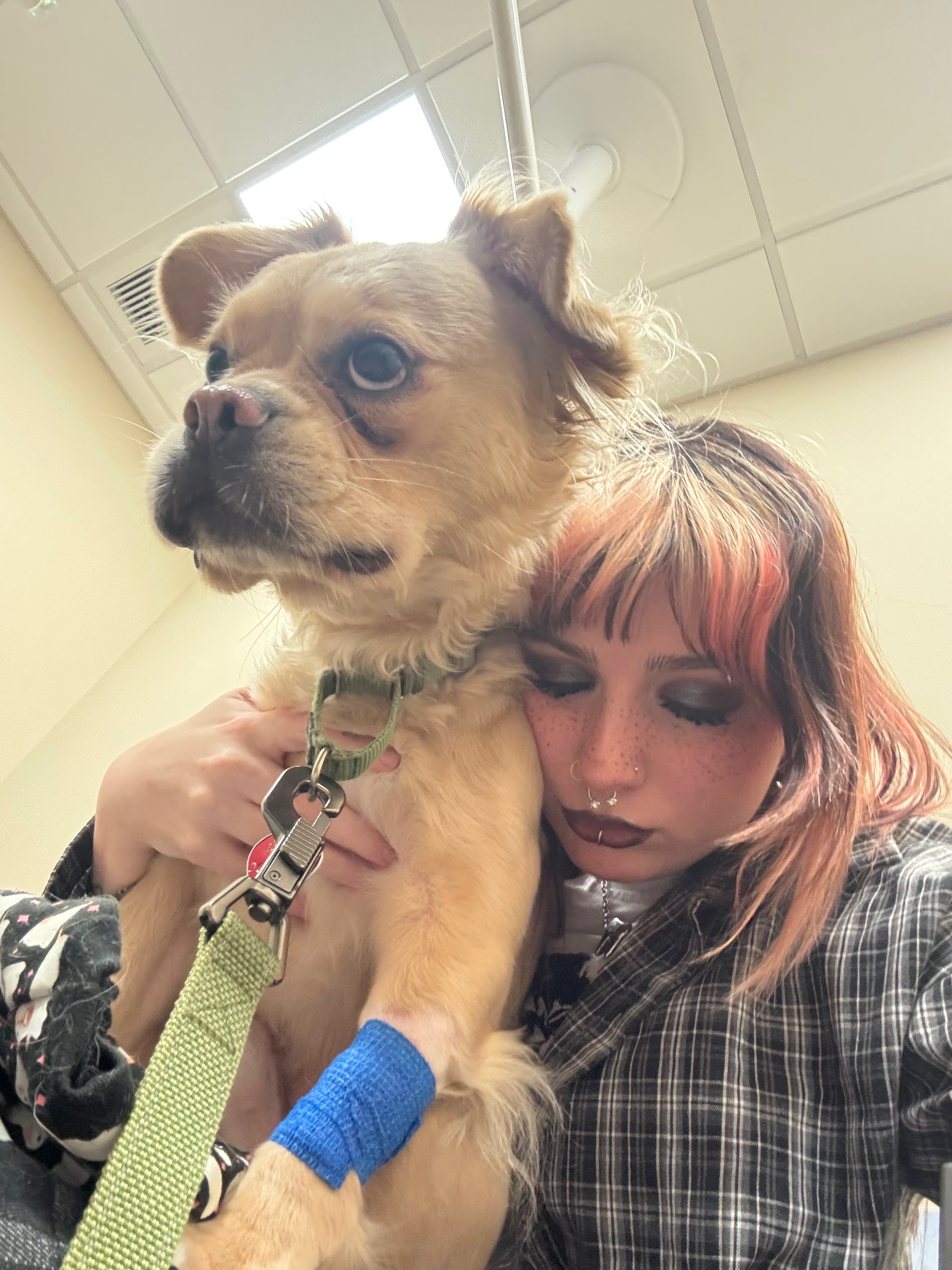 Taters Emergency Ultrasound And Diagnostic Fund campaign photo, 2 of 10