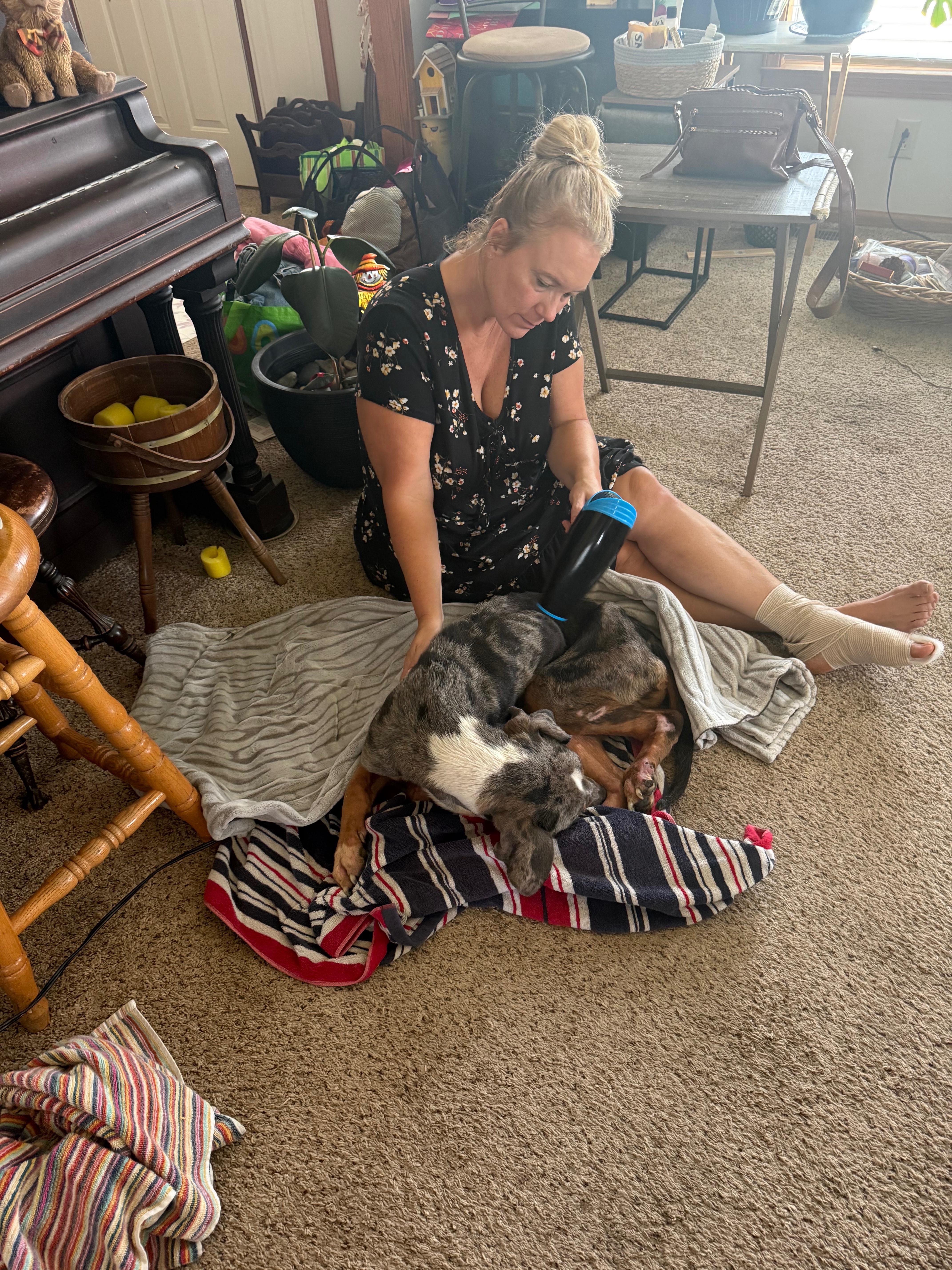 Fundraiser by KaJohn Dickson : Care for My Rescued Dog