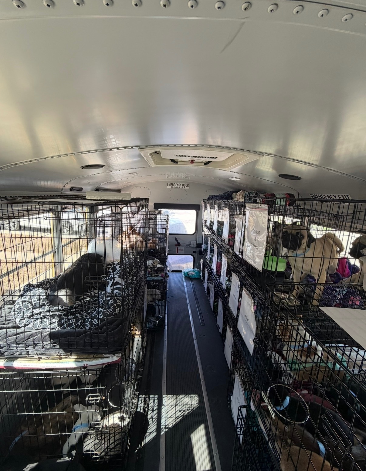 Help Keep Our Rescue Bus Moving campaign photo, 5 of 8