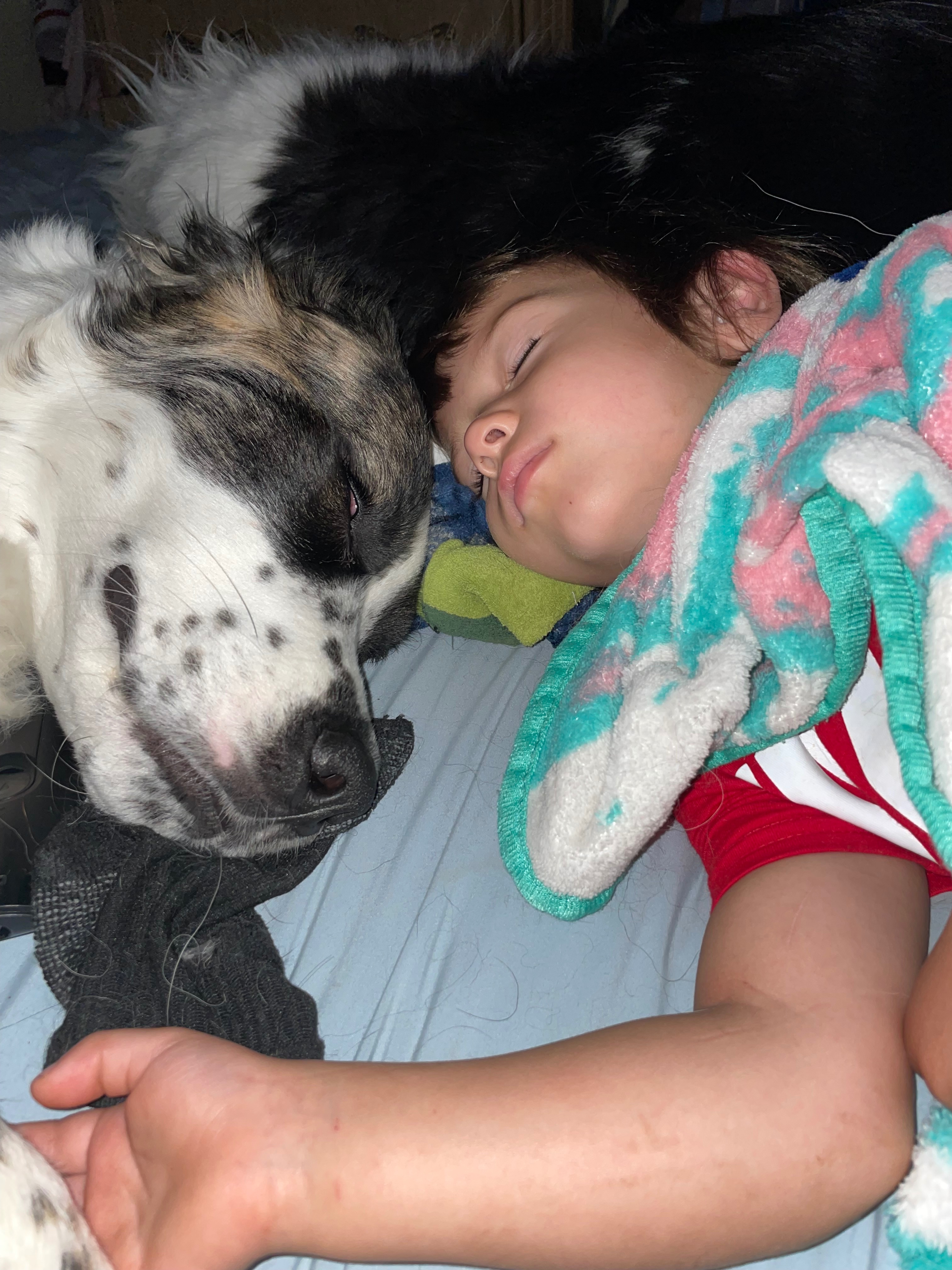 Fundraiser by Nina Douglas : Help Our Family Rebuild After a ...