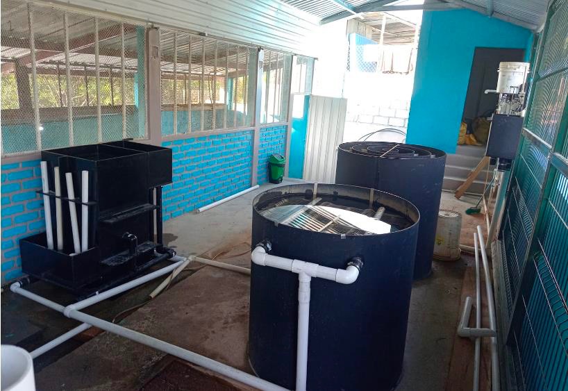Help Bring Safe Drinking Water to 710 People in Honduras campaign photo, 2 of 4