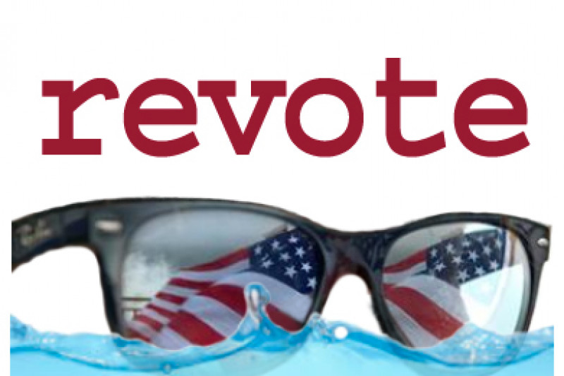 Nullify 2016 Election, Revote by ReVote ReVote - GoFundMe