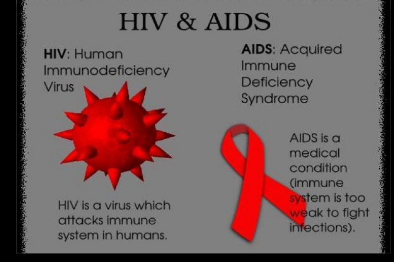 acquired immunodeficiency syndrome aids essay acquired immunodeficiency syndrome aids essay