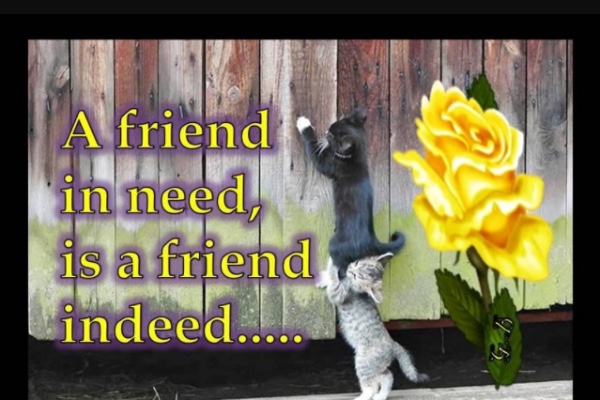 a friend in need is a friend indeed essay A friend in need is a friend indeed a friend in need is a friend indeed is an old saying or proverb that means a friend who helps out when we are in. a friend in need is a friend indeed essay A friend in need is a friend indeed a friend in need is a friend indeed is an old saying or proverb that means a friend who helps out when we are in.