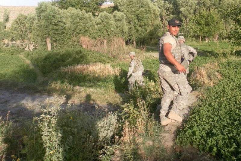 Qismat, Afghan Interpreter, Refugee photo