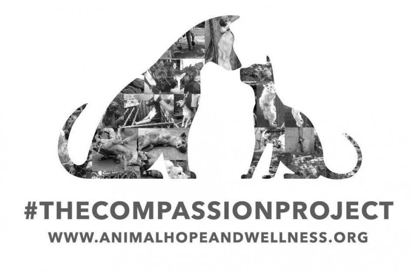 Fundraiser for Animal Hope and Wellness Foundation by Shell Mc ... Fundraiser for Animal Hope and Wellness Foundation by Shell Mc ...