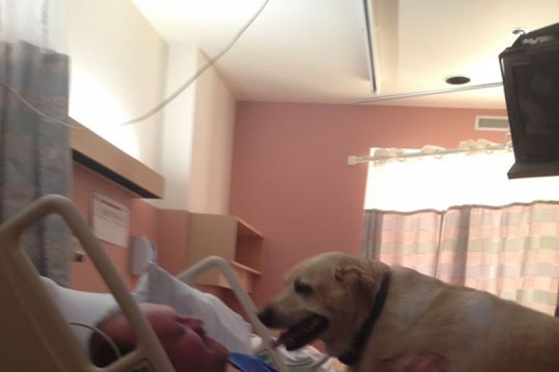 Fundraiser by Myra Tracey Gerry's Wheelchair lift for the Van