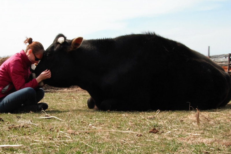 Fundraiser by Raelle Schoenrock : Help Kismet Creek Farm Sanctuary!