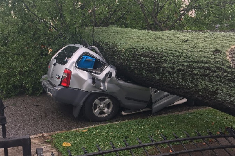 Fundraiser for William Scheff by Tatine Darker Will's Wheels Got Whacked