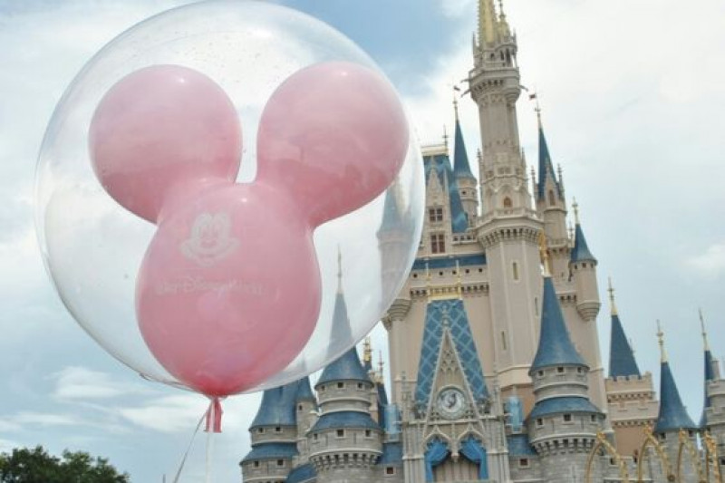 fundraiser by missdebbie jones disney dreams can come true