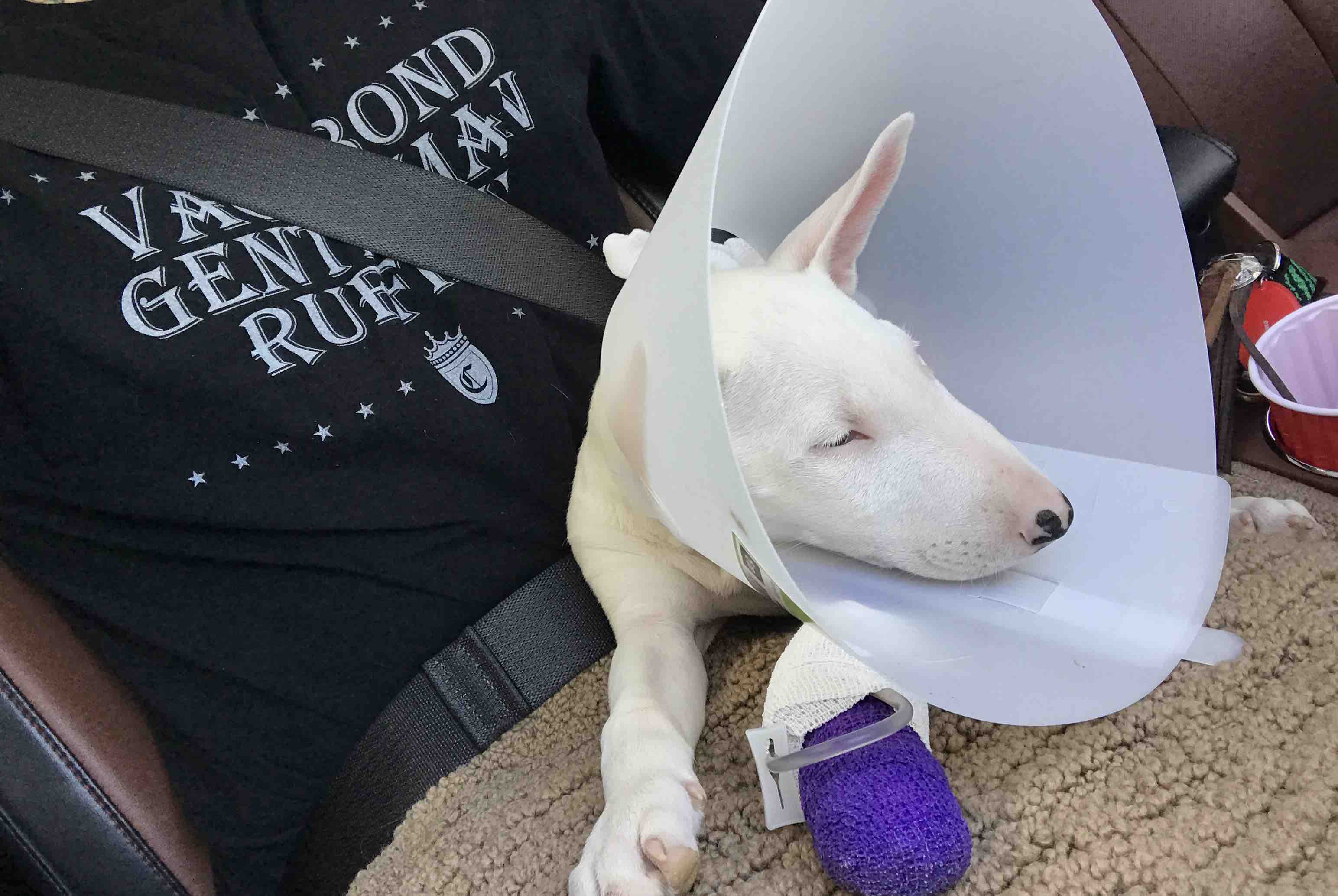 Help Lila Get Better ❤️ photo